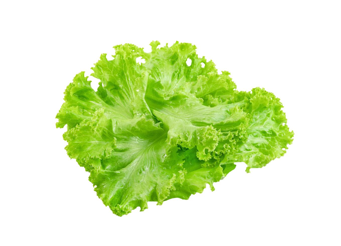 foglia di lattuga isolata su sfondo bianco, motivo a foglie verdi, ingrediente per insalata foto