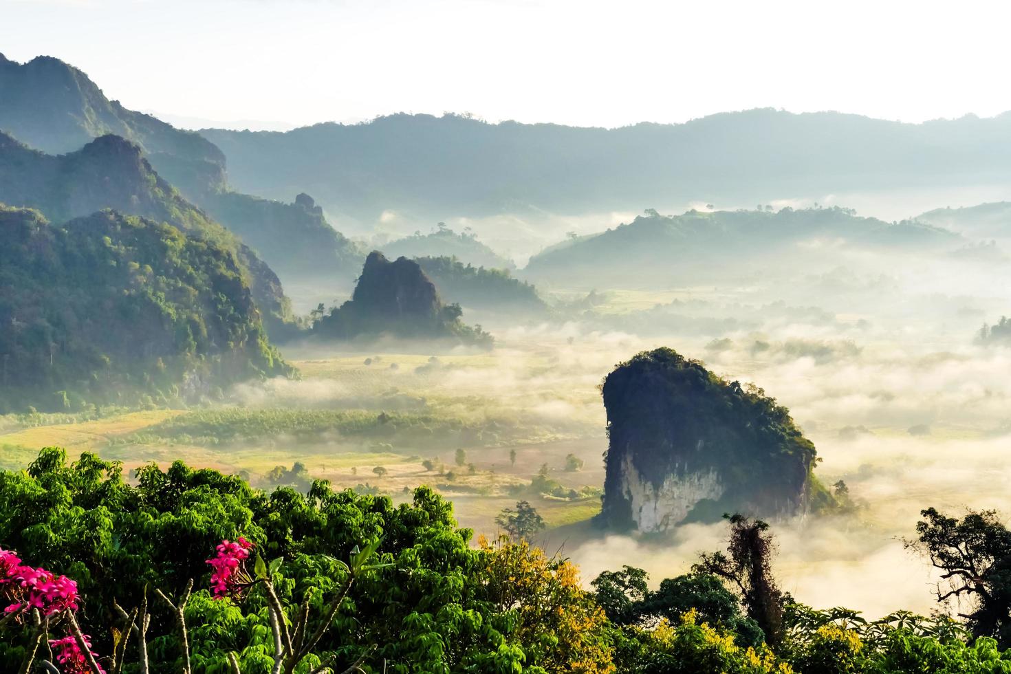 paesaggio di sole nella nebbia mattutina a phu lang ka, phayao, thailandia foto