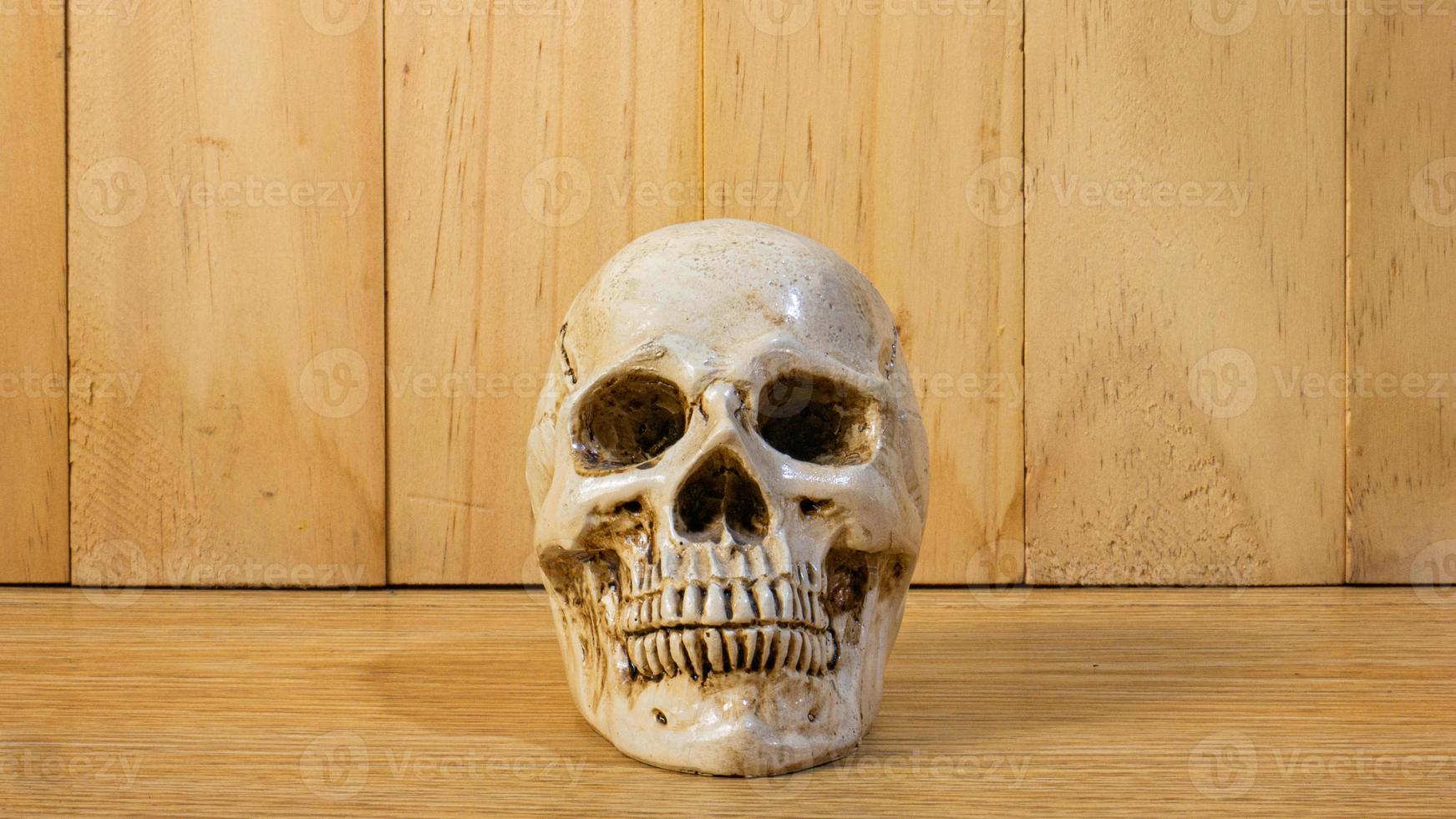 la testa del cranio sul tavolo di legno per l'istruzione o il concetto di sfondo di halloween foto