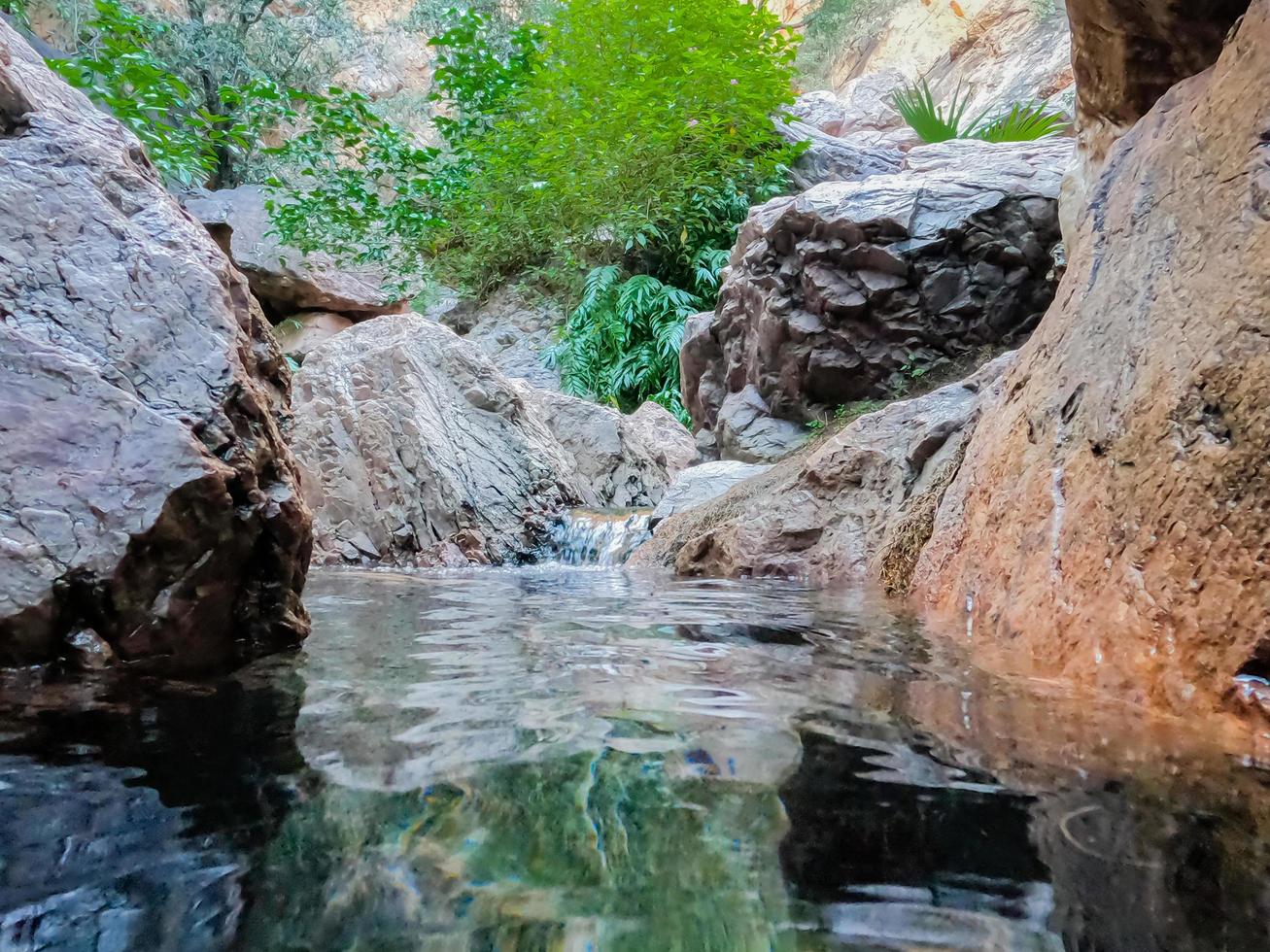 immagini di zebedee springs wa australia foto