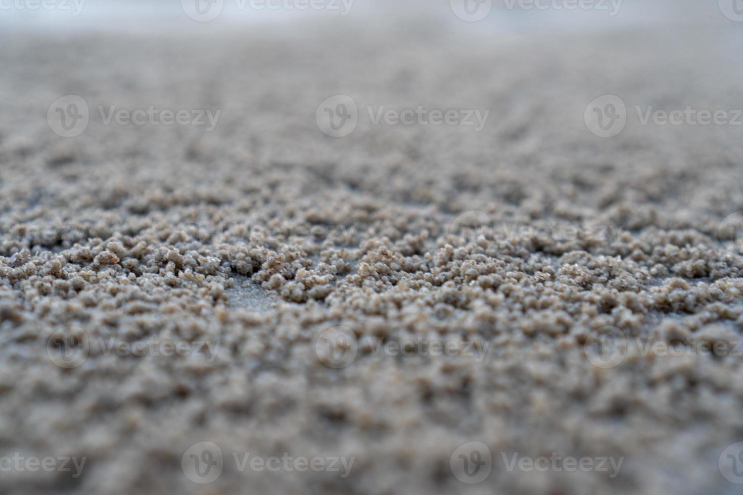 il solco galleggiante dell'habitat del granchio fantasma dagli occhi cornuti o dell'ocypode sulla sabbia bianca in riva al mare foto