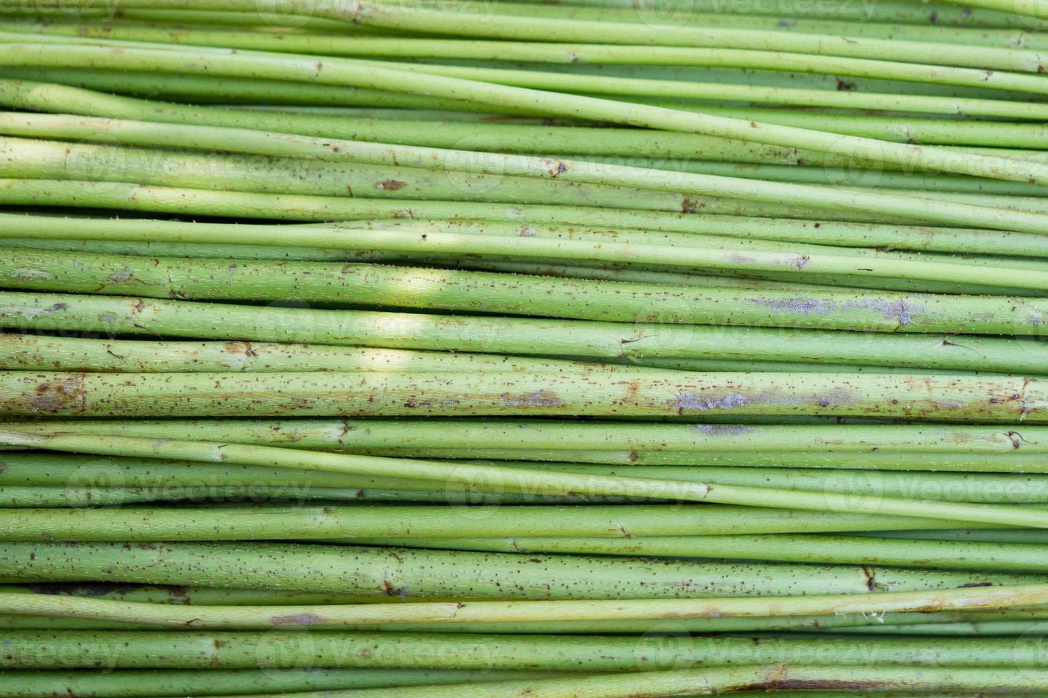 sfondo verde trama di iuta grezza. questa è la fibra d'oro chiamata in Bangladesh foto