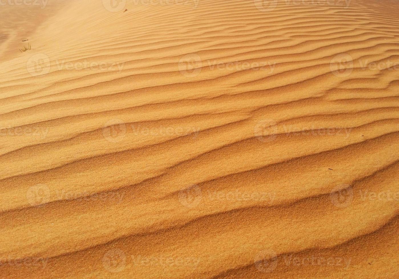 dune di sabbia nel deserto foto