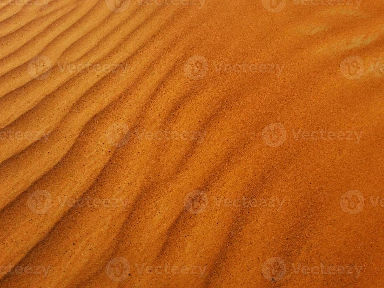 dune di sabbia nel deserto foto