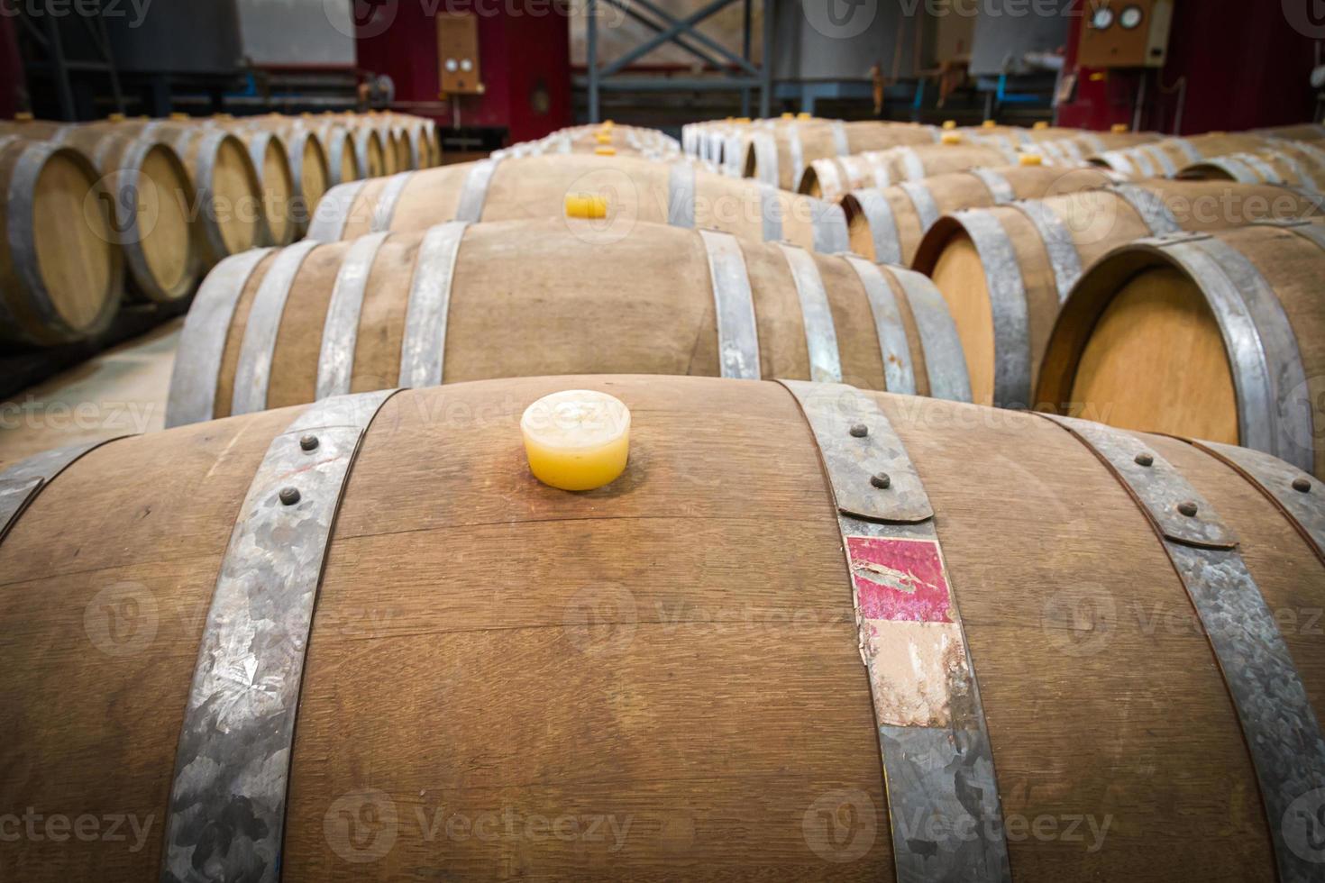 botti di vino nella cantina della cantina foto