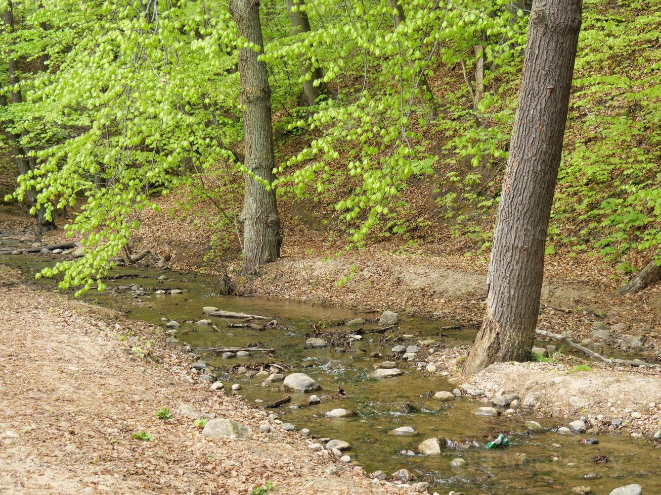 al mar baltico in polonia foto