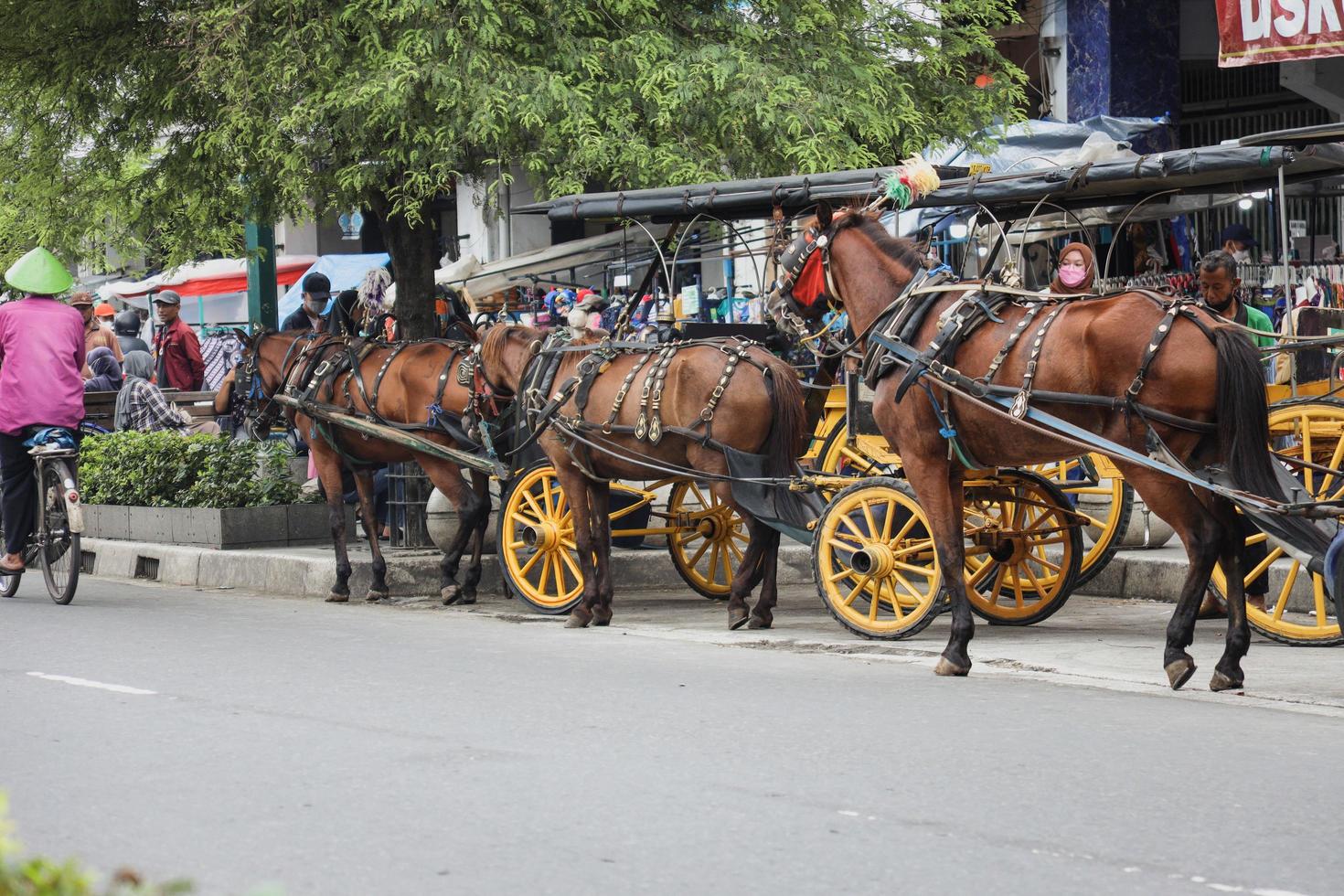 yogyakarta, indonesia - maggio 2022 delman si ferma a jalan malioboro. delman è un cavallo da trasporto tradizionale. foto