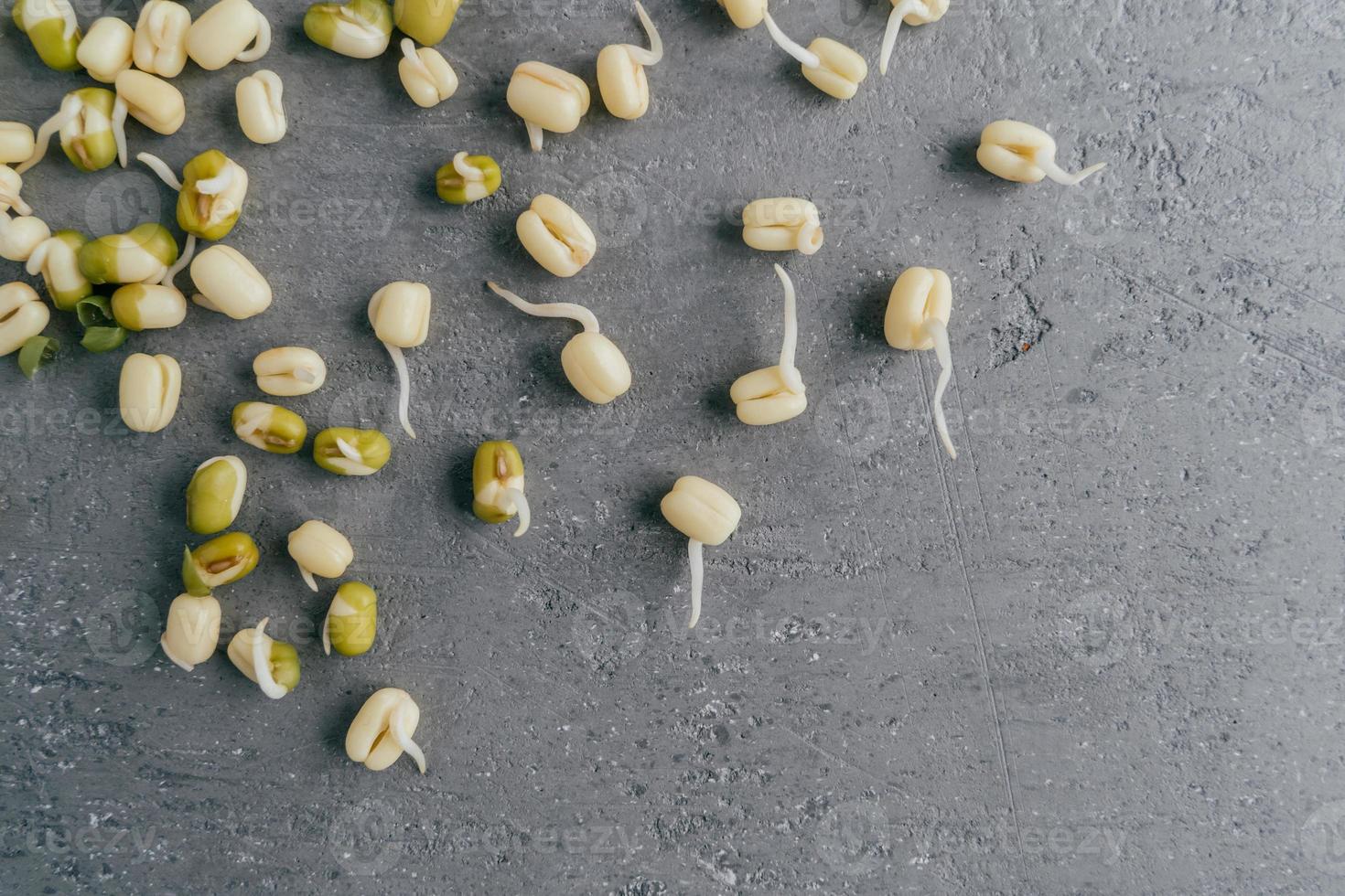 colpo orizzontale di fagioli mung germogliati per il tuo mangiare sano isolato su sfondo grigio con spazio di copia. disteso. grammi sani foto