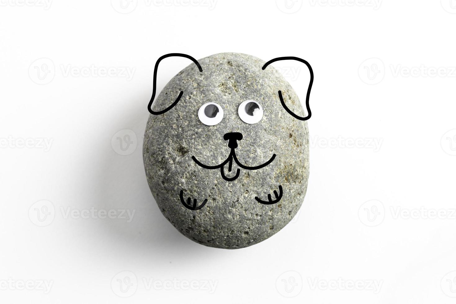 pet rock con occhi finti 10244634 Stock Photo su Vecteezy