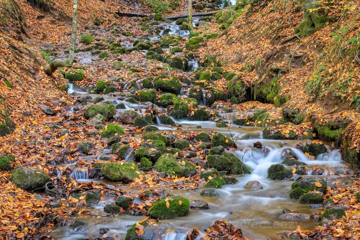 cascata nella foresta foto