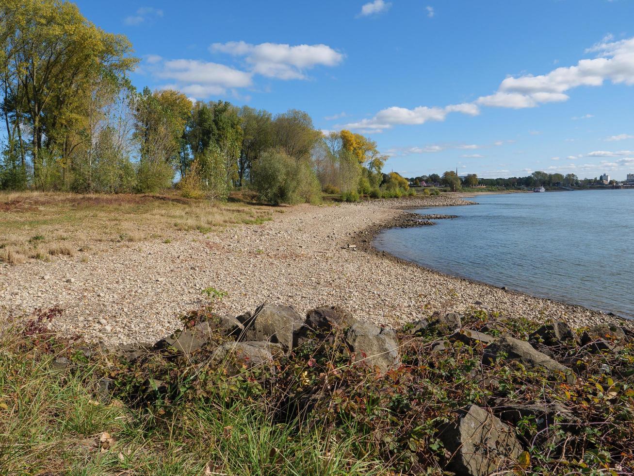 il fiume Reno vicino a Wesel foto