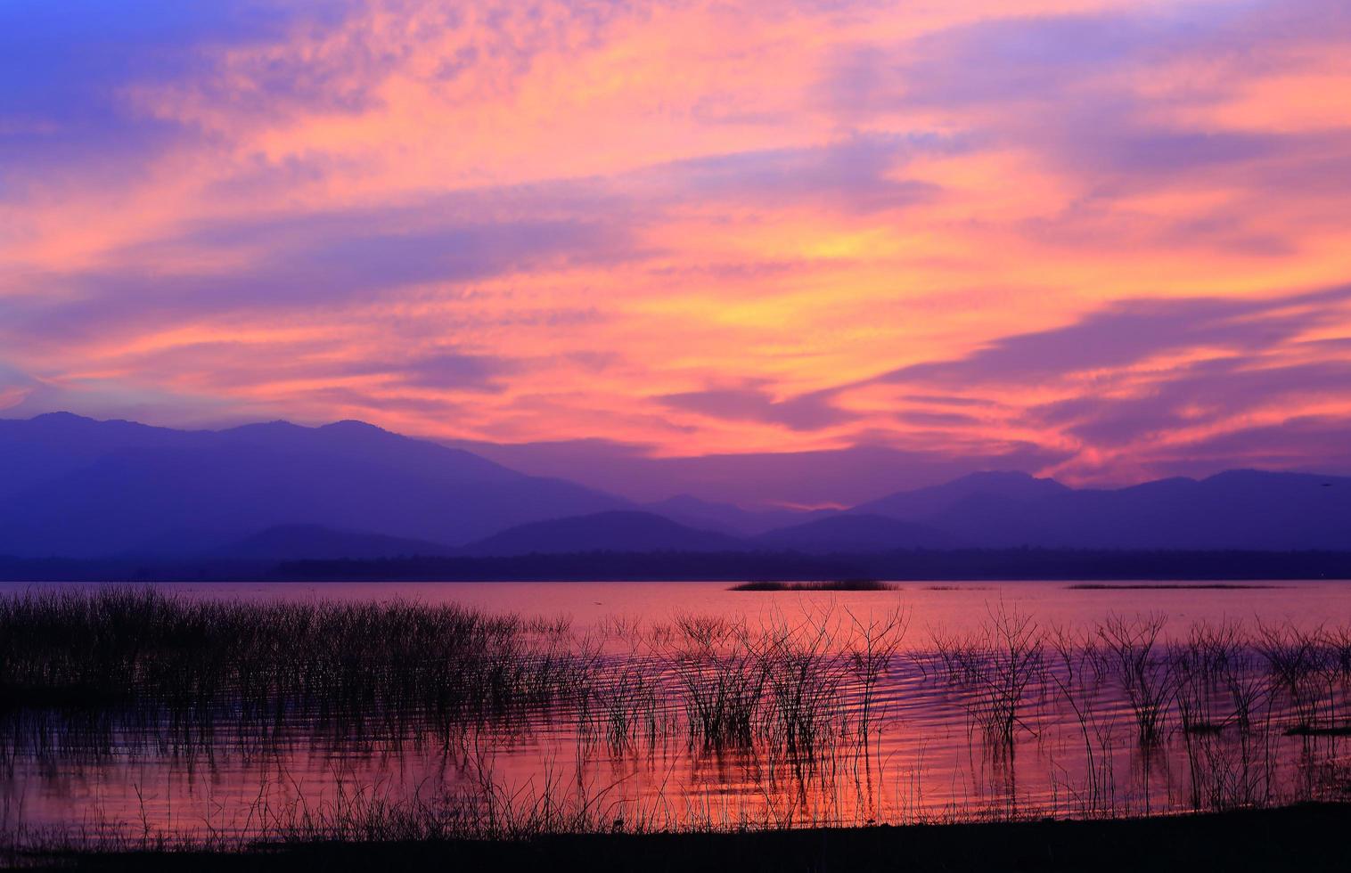 albero della siluetta del tramonto sul lago foto