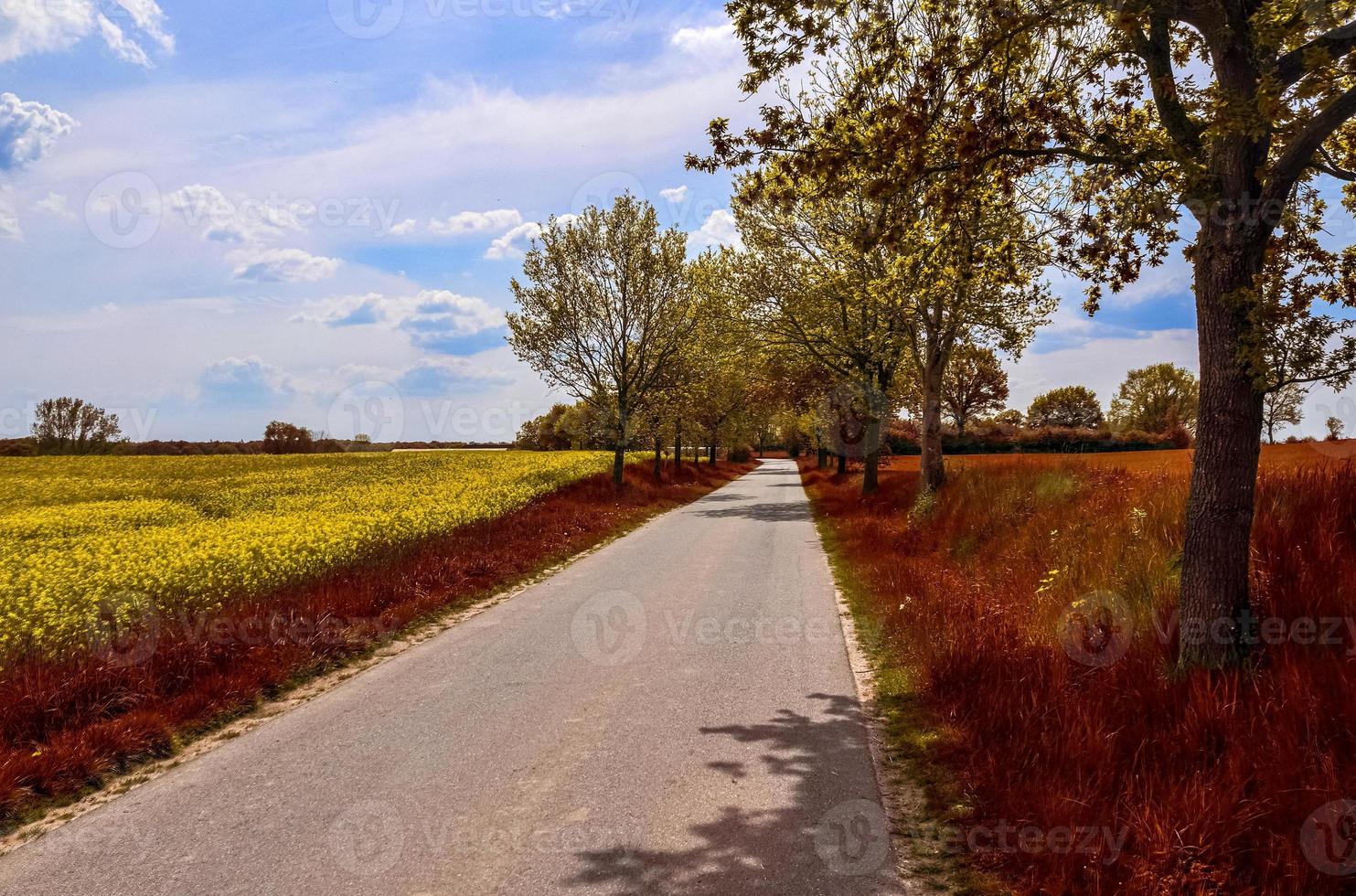 bella vista panoramica su un paesaggio autunnale dorato trovato in europa foto