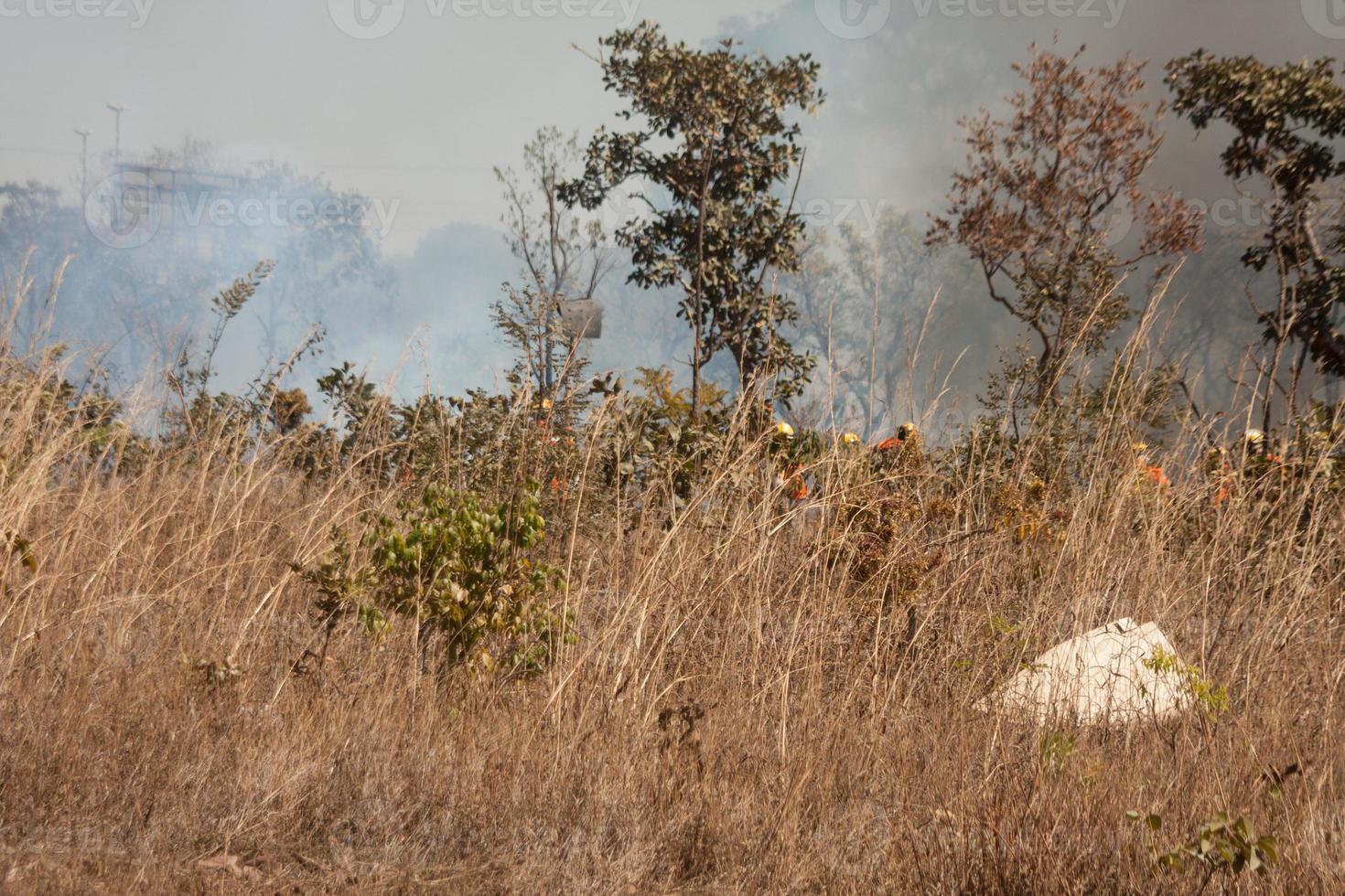 un incendio vicino alla riserva indiana di karriri-xoco e tuxa nella sezione nord-ovest di brasilia, brasile foto