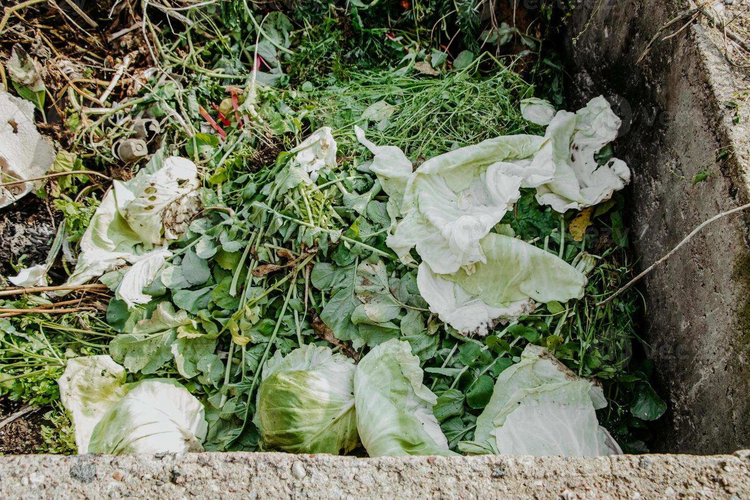 fossa di compostaggio per rifiuti alimentari. concetto di fertilizzanti organici per giardino. foto