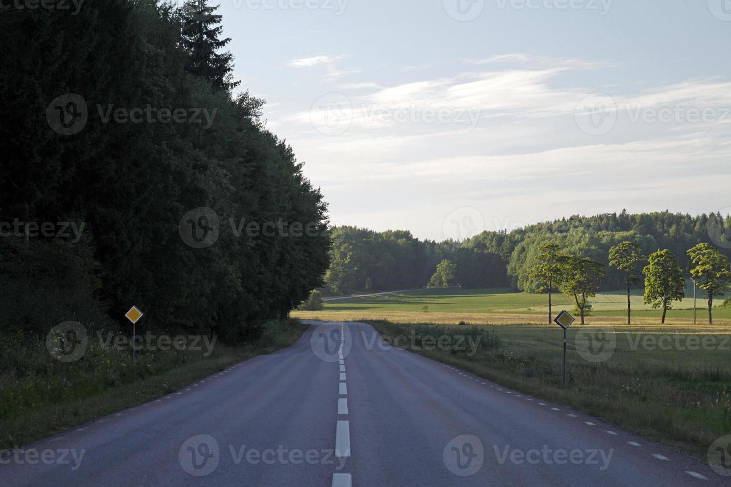 strada vuota vicino a una foresta in svezia foto