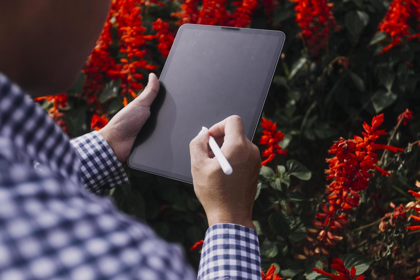 tecnologia agricola contadina donna che tiene tablet o tablet tecnologia per la ricerca sui dati di analisi dei problemi agricoli e sull'icona visiva. foto