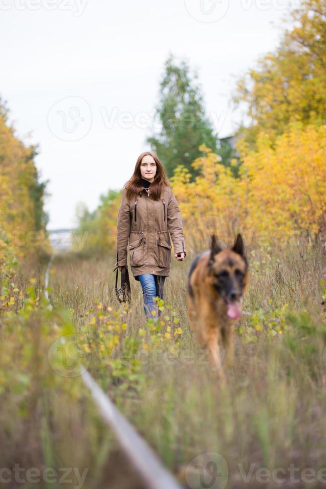 giovane donna attraente che cammina con il suo cane pastore tedesco nella foresta d'autunno, vicino alla ferrovia - la ragazza è a fuoco foto