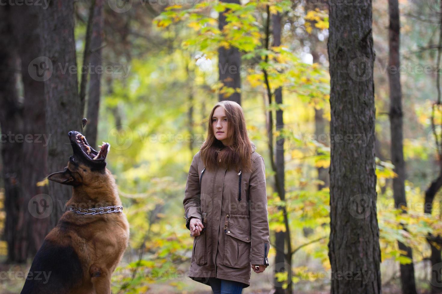 giovane donna carina che gioca con il cane pastore tedesco all'aperto nella foresta autunnale, primo piano foto