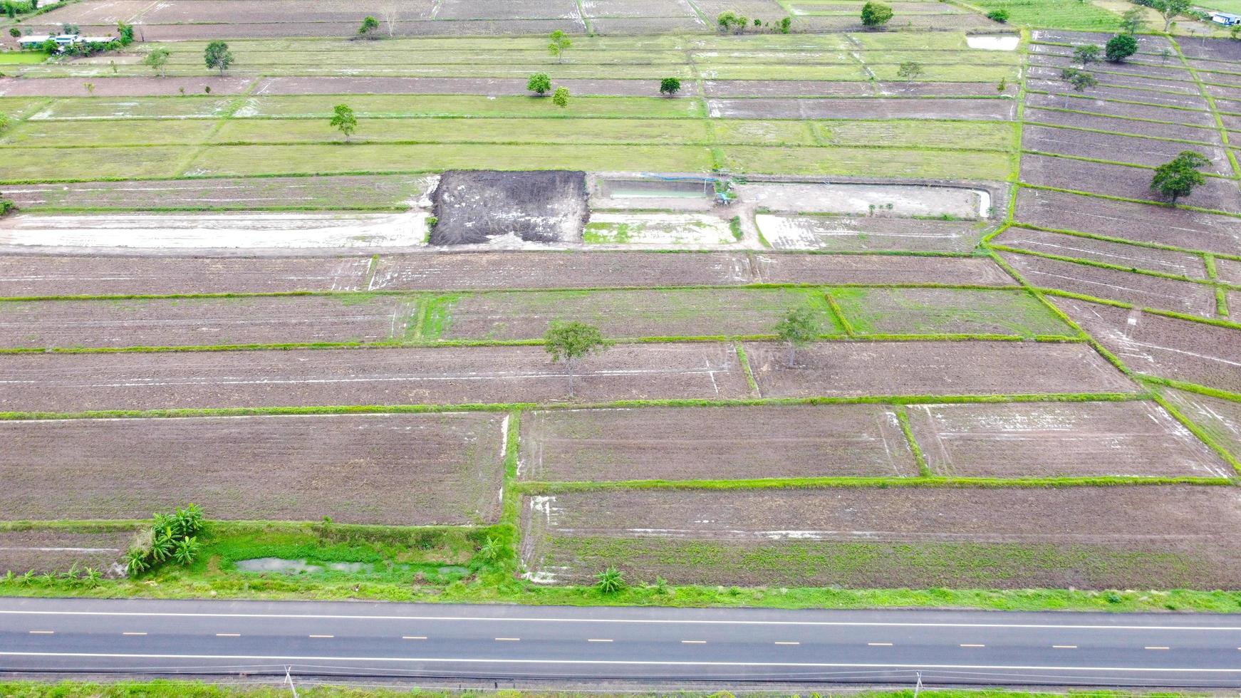 vista aerea di campi verdi e terreni agricoli nelle zone rurali della Thailandia. foto