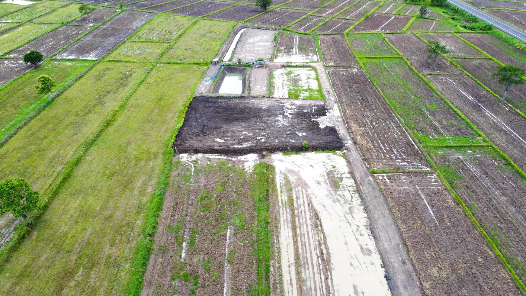 vista aerea di campi verdi e terreni agricoli nelle zone rurali della Thailandia. foto