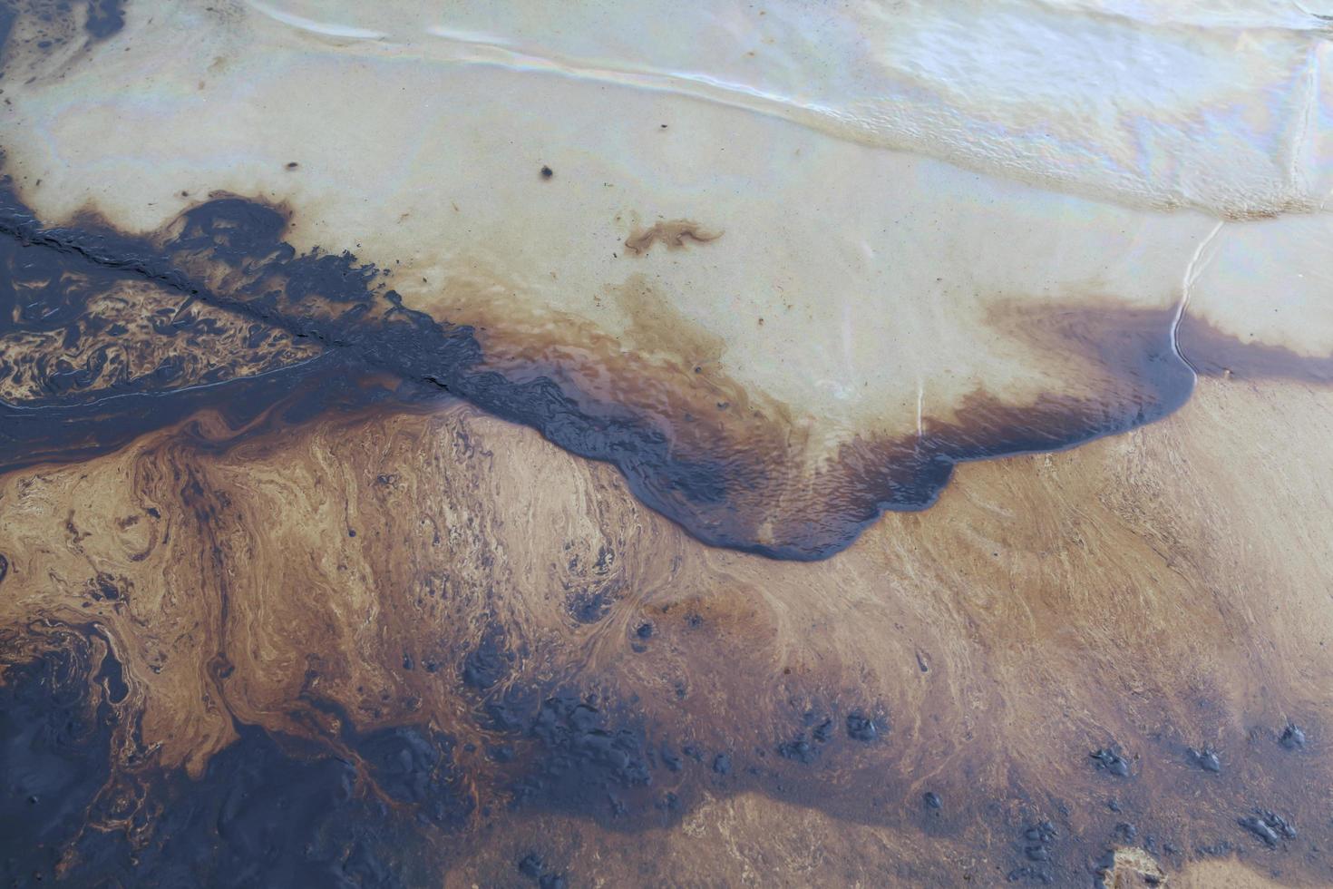 la fuoriuscita di petrolio nel Golfo è mostrata su una spiaggia foto