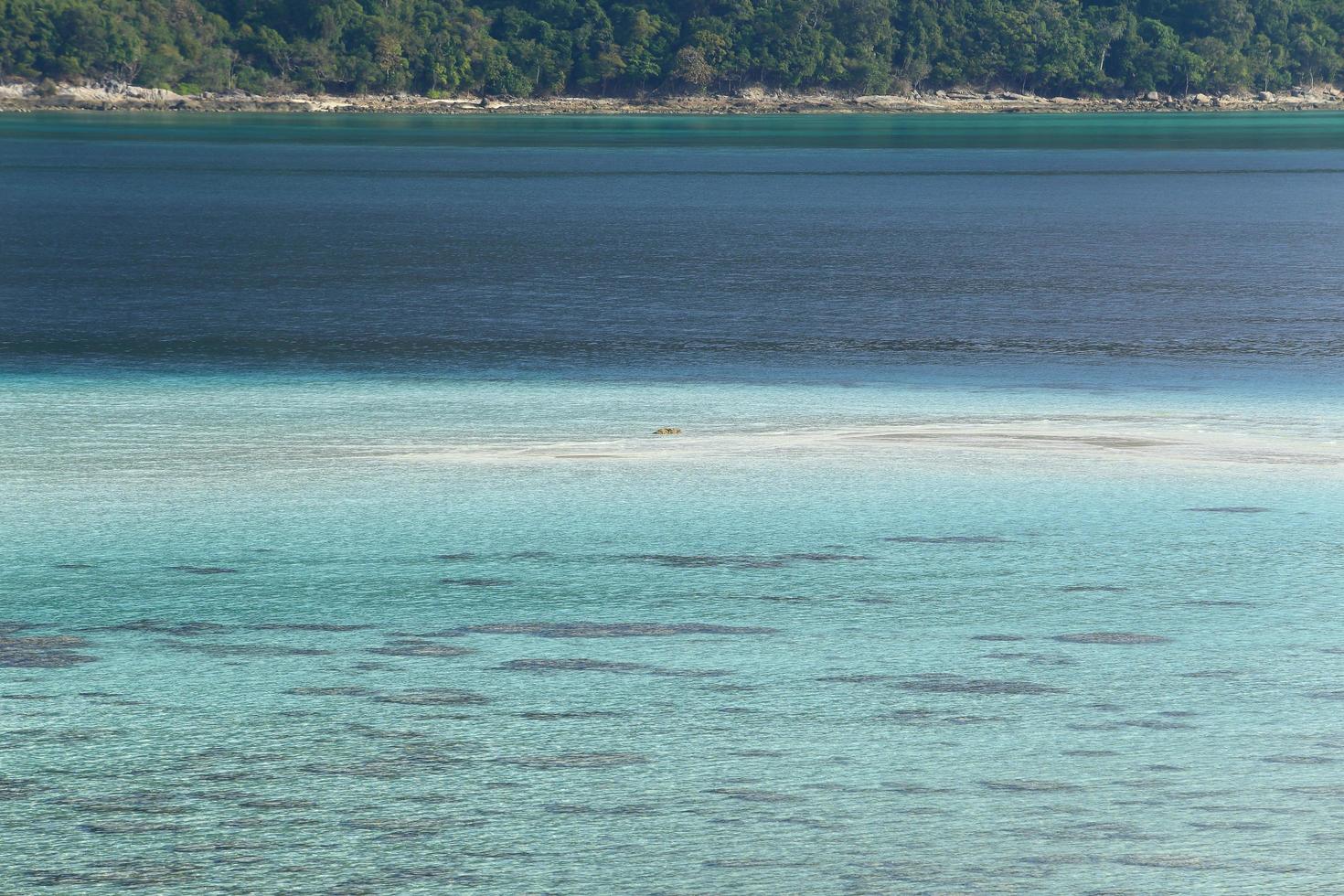 bella spiaggia sabbiosa del mare limpido d'estate, tailandia foto