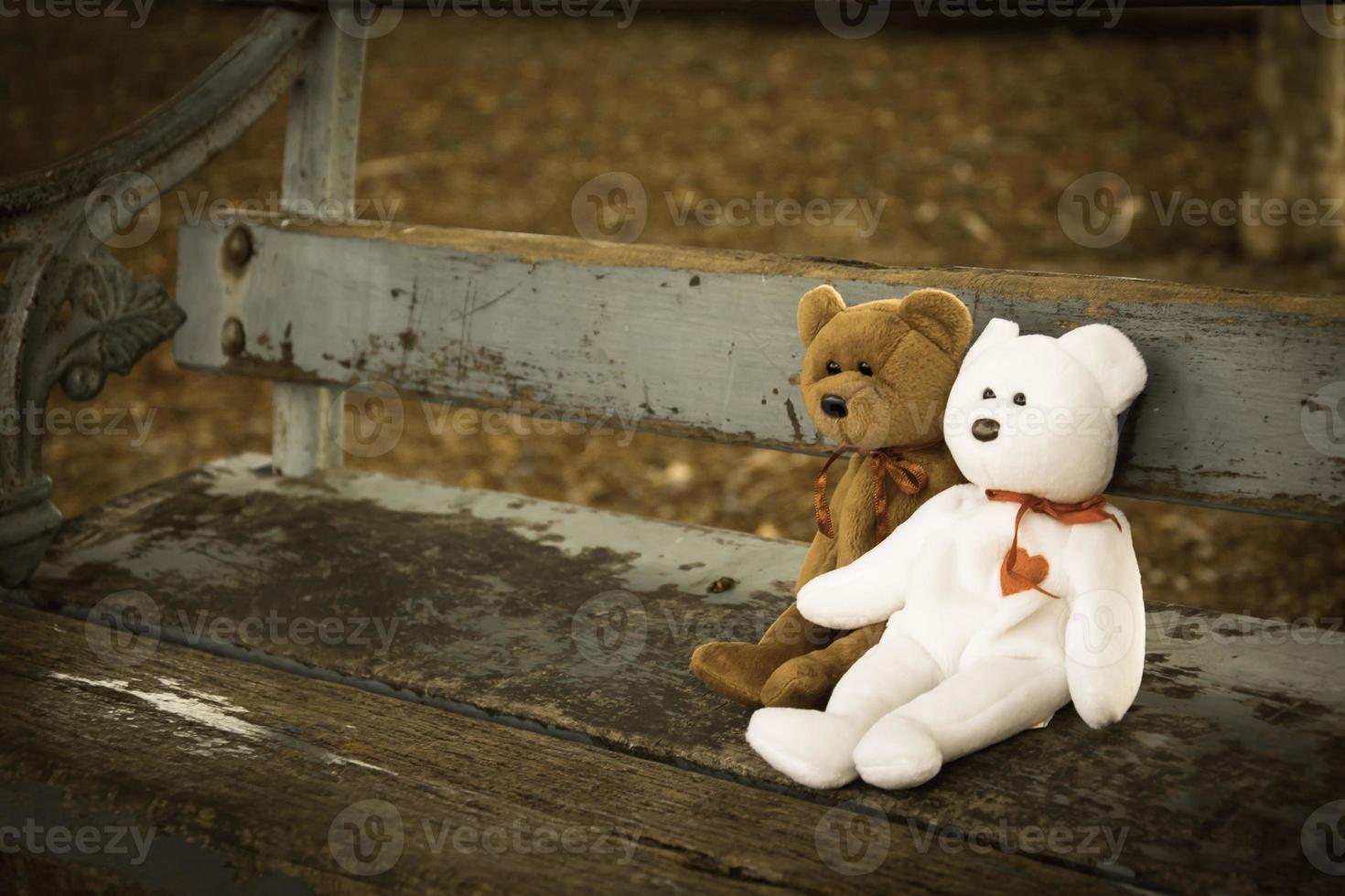 bambola orsacchiotto sulla panchina foto