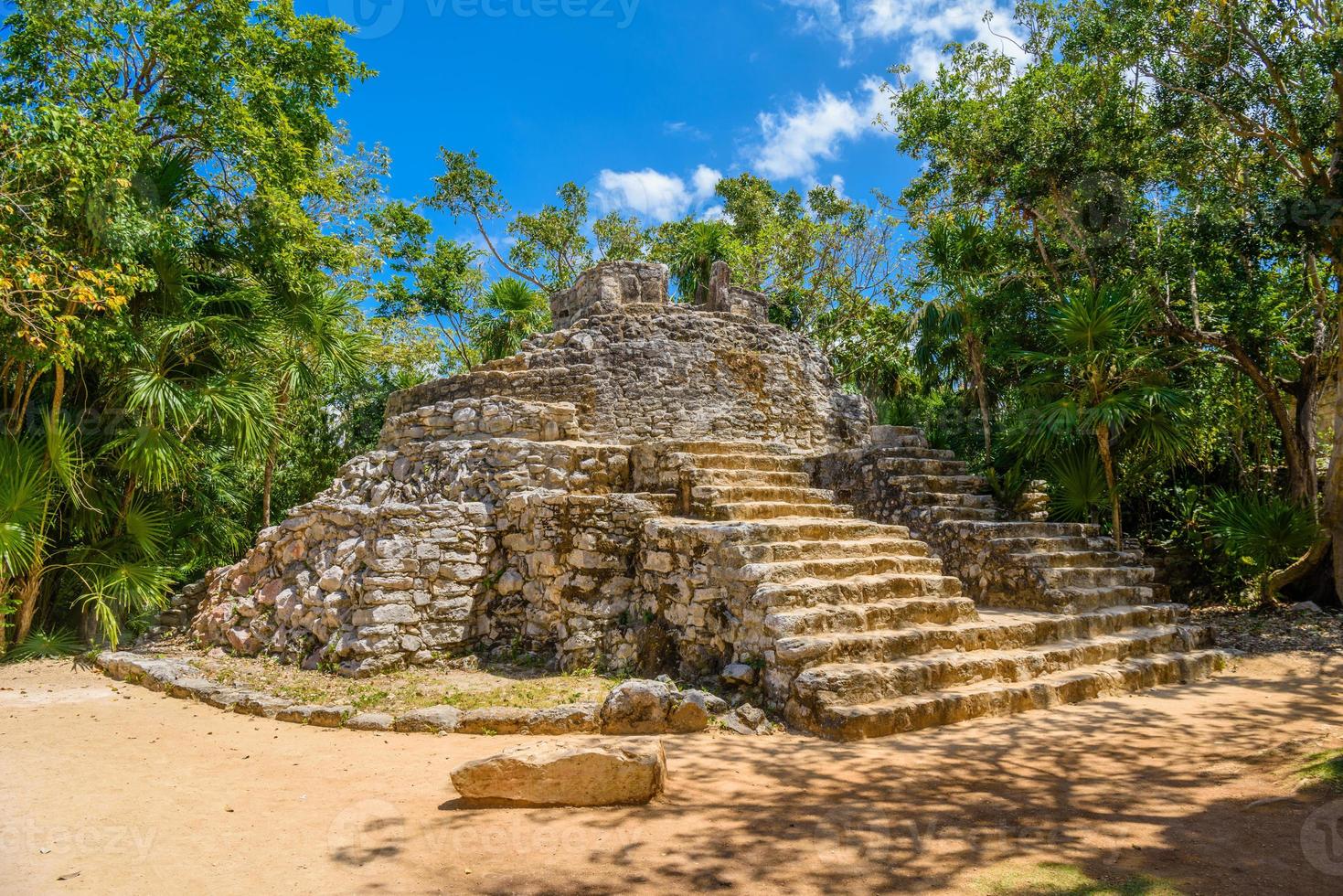 rovine maya all'ombra degli alberi nella foresta tropicale della giungla playa del carmen, riviera maya, yu atan, messico foto