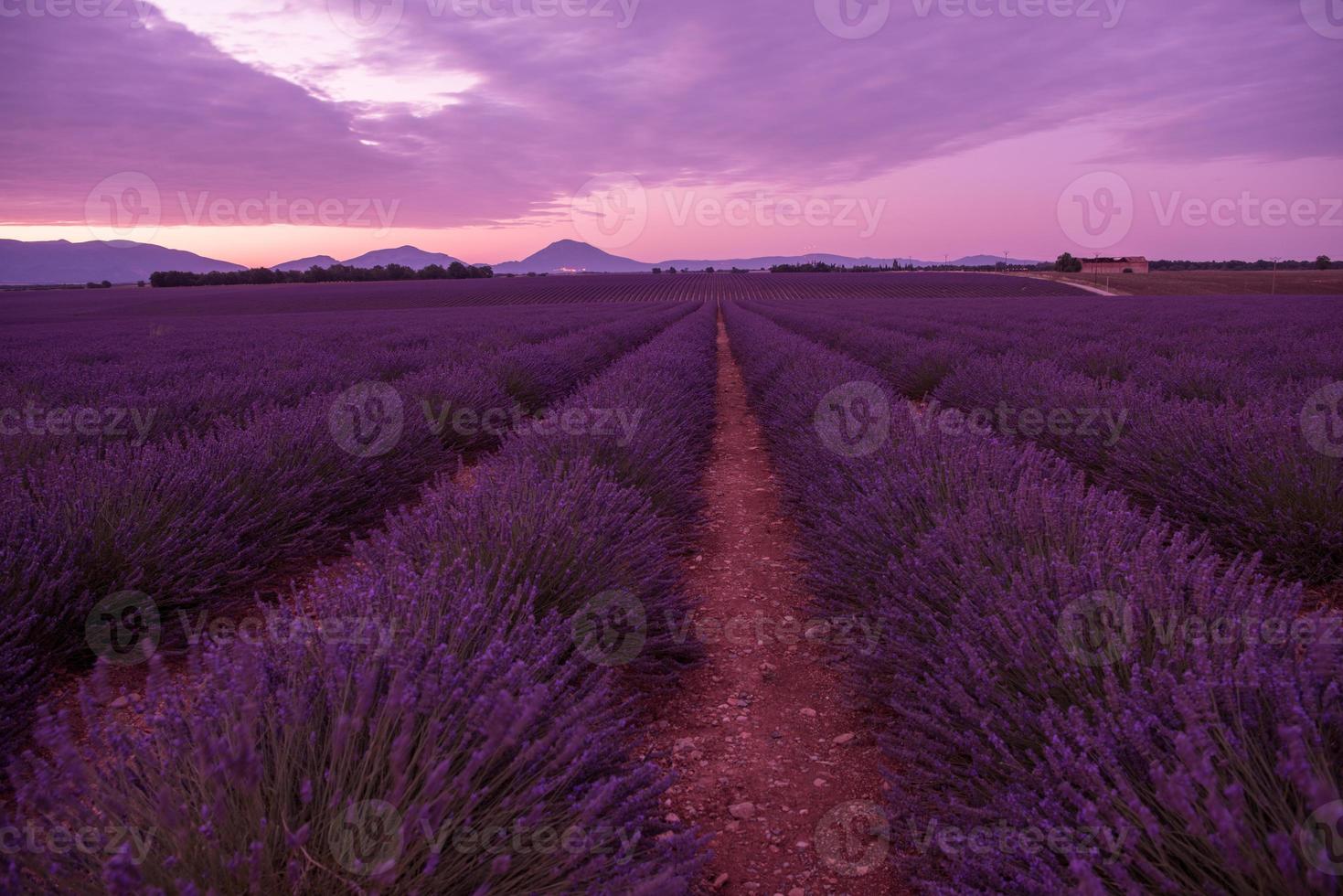 campo di levante francia foto