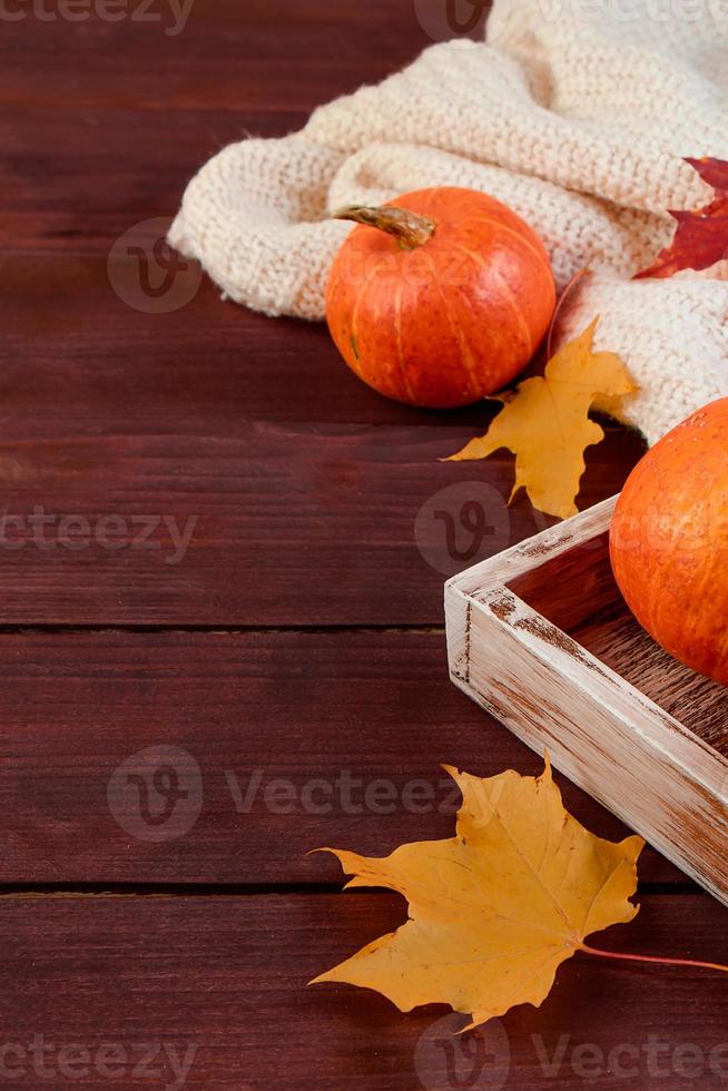 Ciao autunno. zucche e foglie gialle in scatola di legno. prodotti agricoli ecologici. concetto di raccolto e ringraziamento. feste di halloween. foto