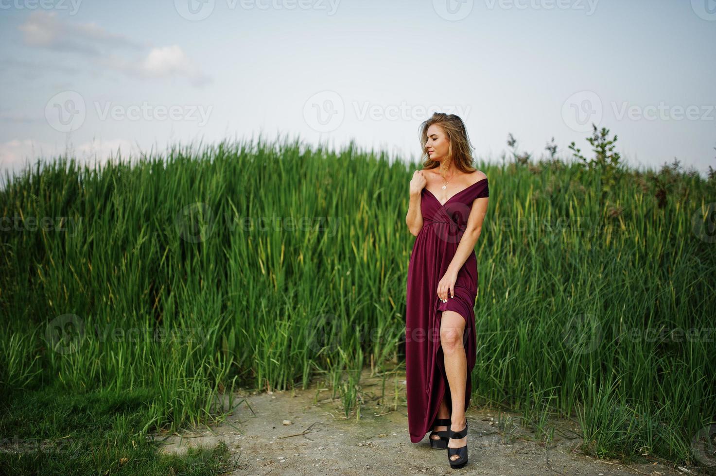 bionda donna sensuale in abito rosso marsala in posa tra le canne. foto