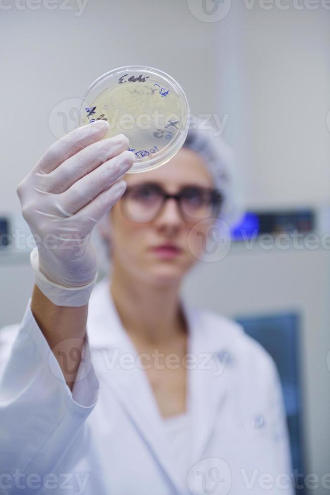 scienziati che lavorano in laboratorio foto