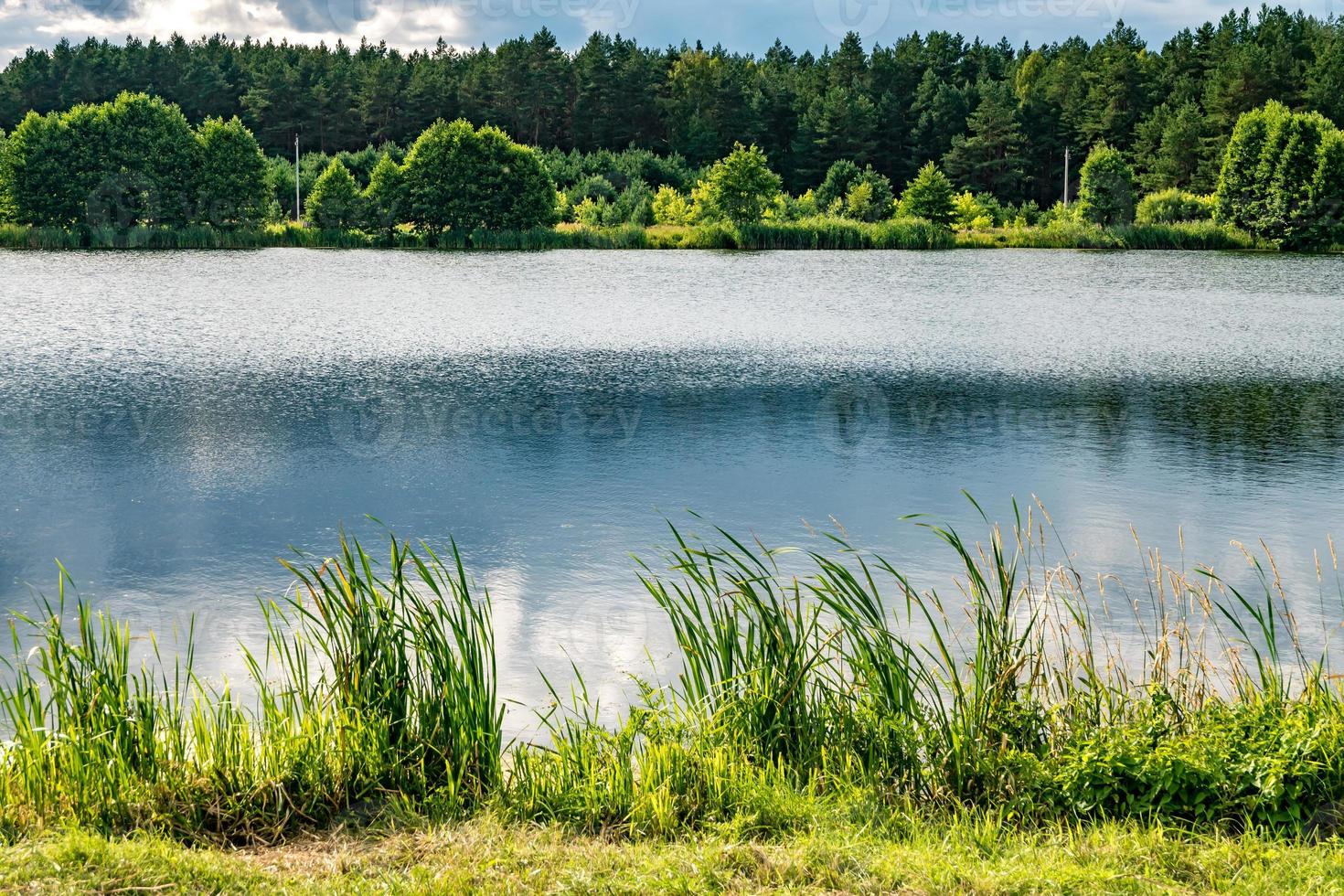 riflesso nell'acqua di un grande lago forestale foto