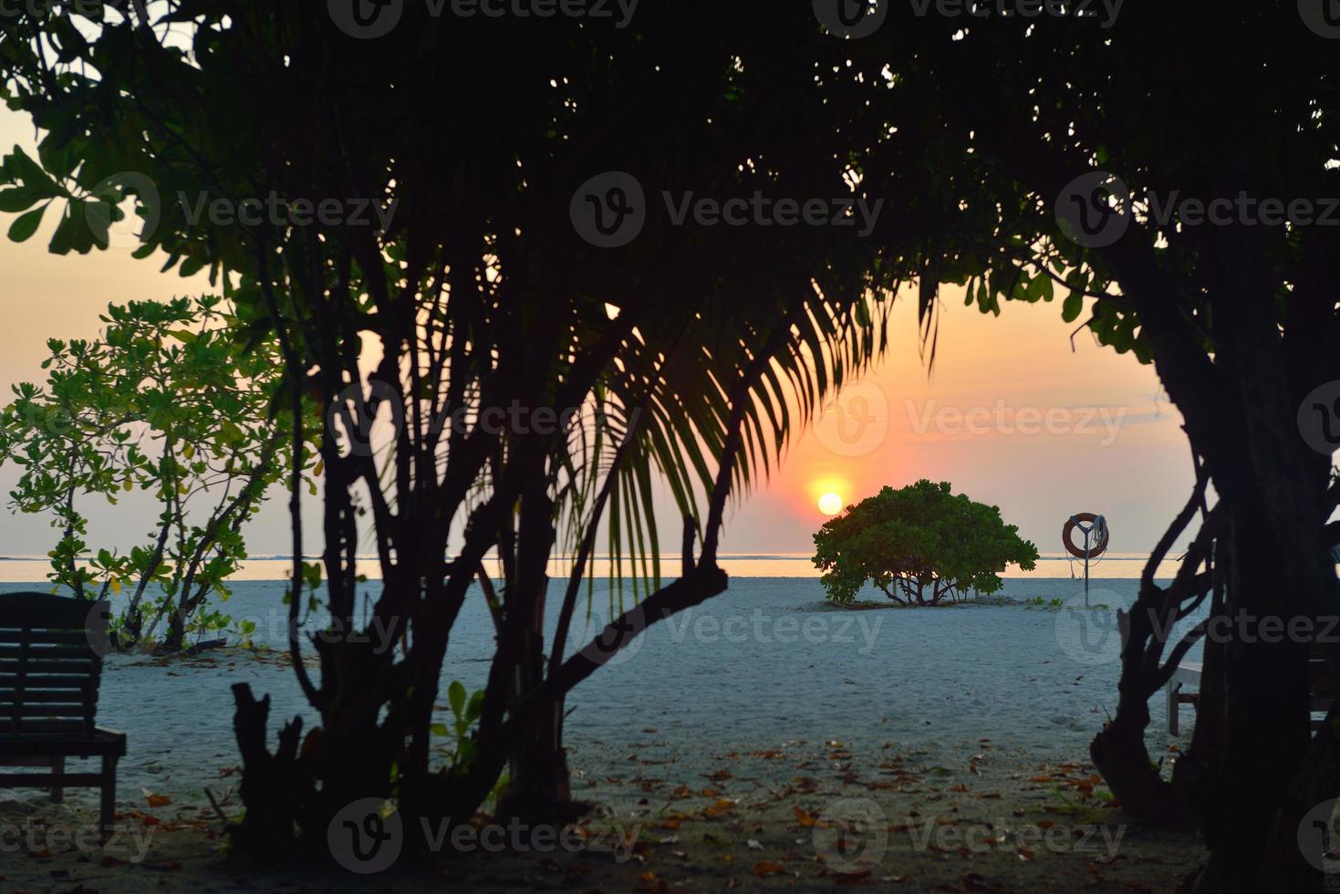 paesaggio tropicale della spiaggia foto