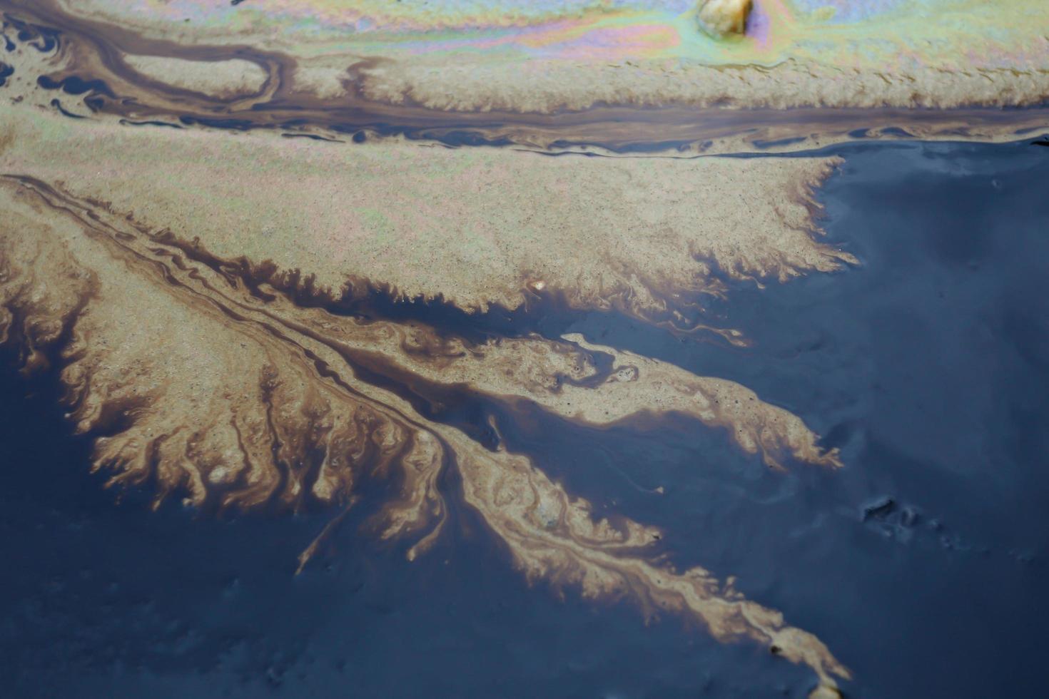 la fuoriuscita di petrolio nel Golfo è mostrata su una spiaggia foto