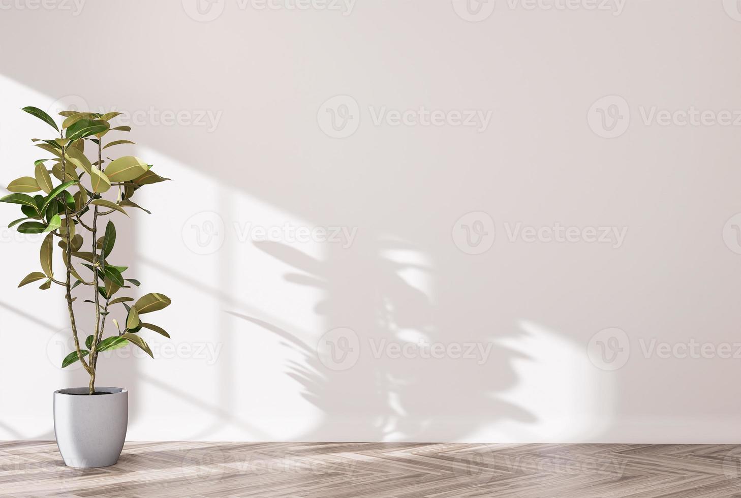 sfondo del desktop della stanza vuota bianca, sfondo della decorazione della casa delle piante foto