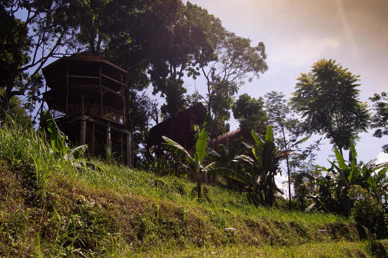 mojokerto, indonesia, 2022 - vista della piantagione durante il giorno foto