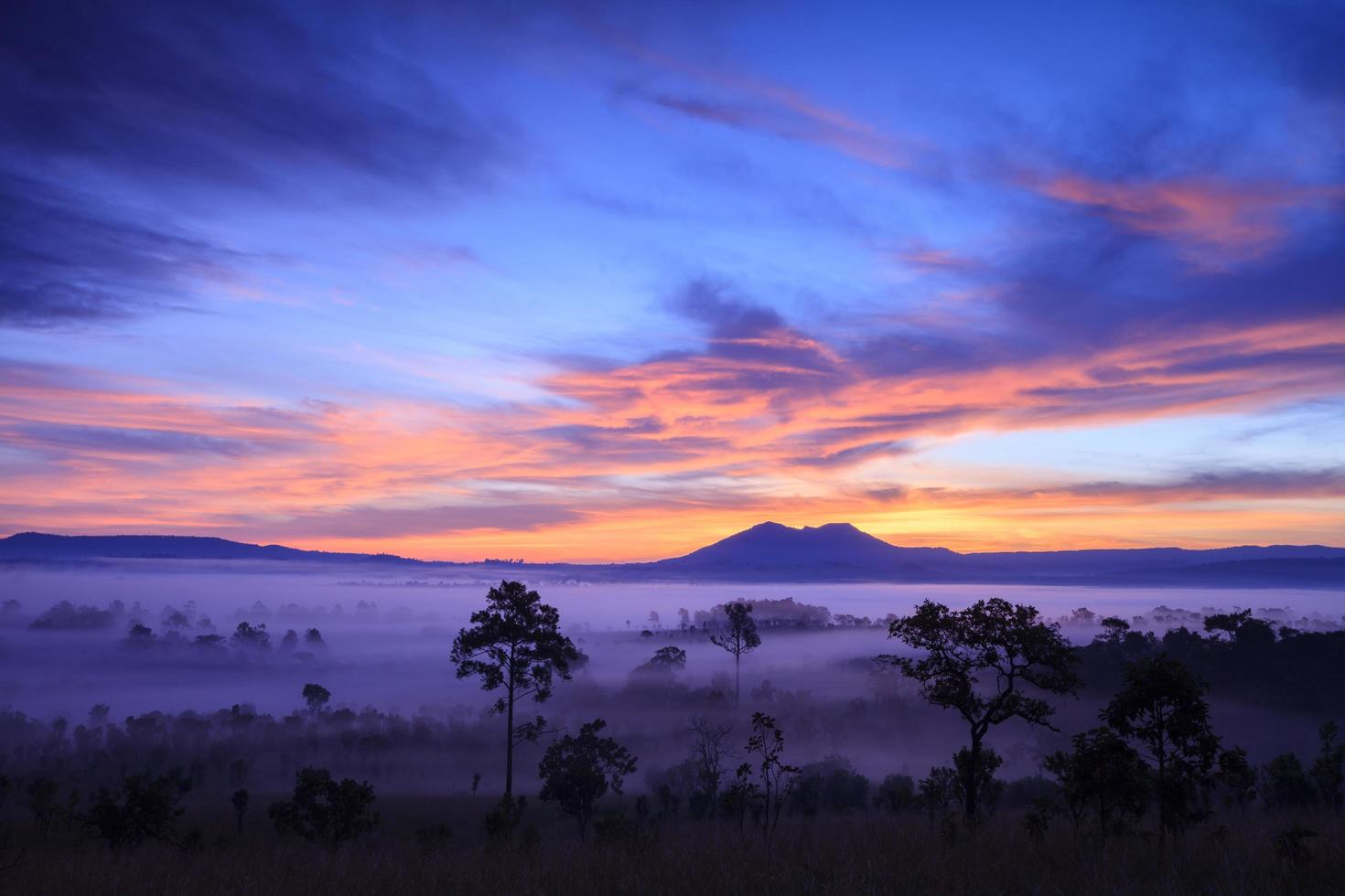 alba nebbiosa mattutina al parco nazionale di thung salang luang phetchabun, il gergo di tung luang è la savana dei prati in Thailandia. foto