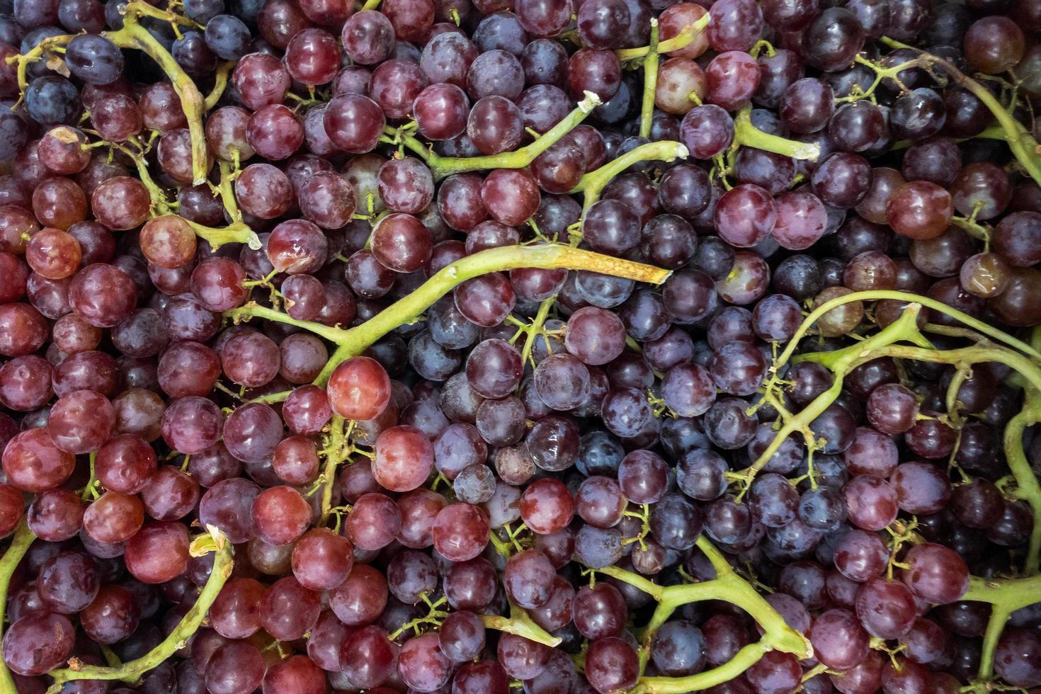 sfondo di uva rossa foto
