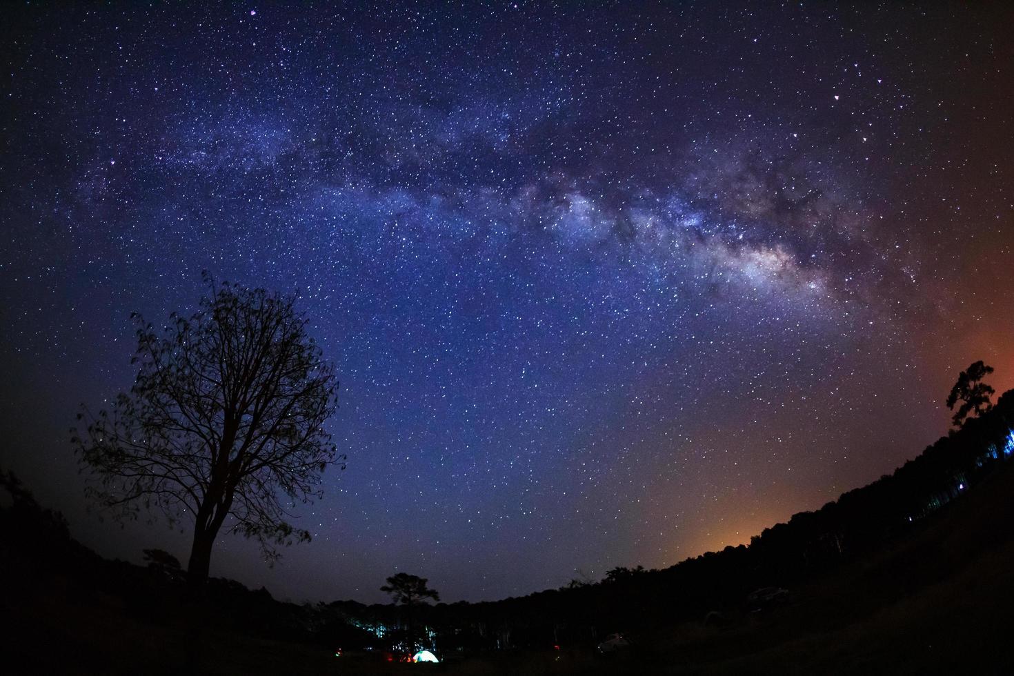 bella galassia della Via Lattea su un cielo notturno e silhouette di albero, fotografia a lunga esposizione con grano foto