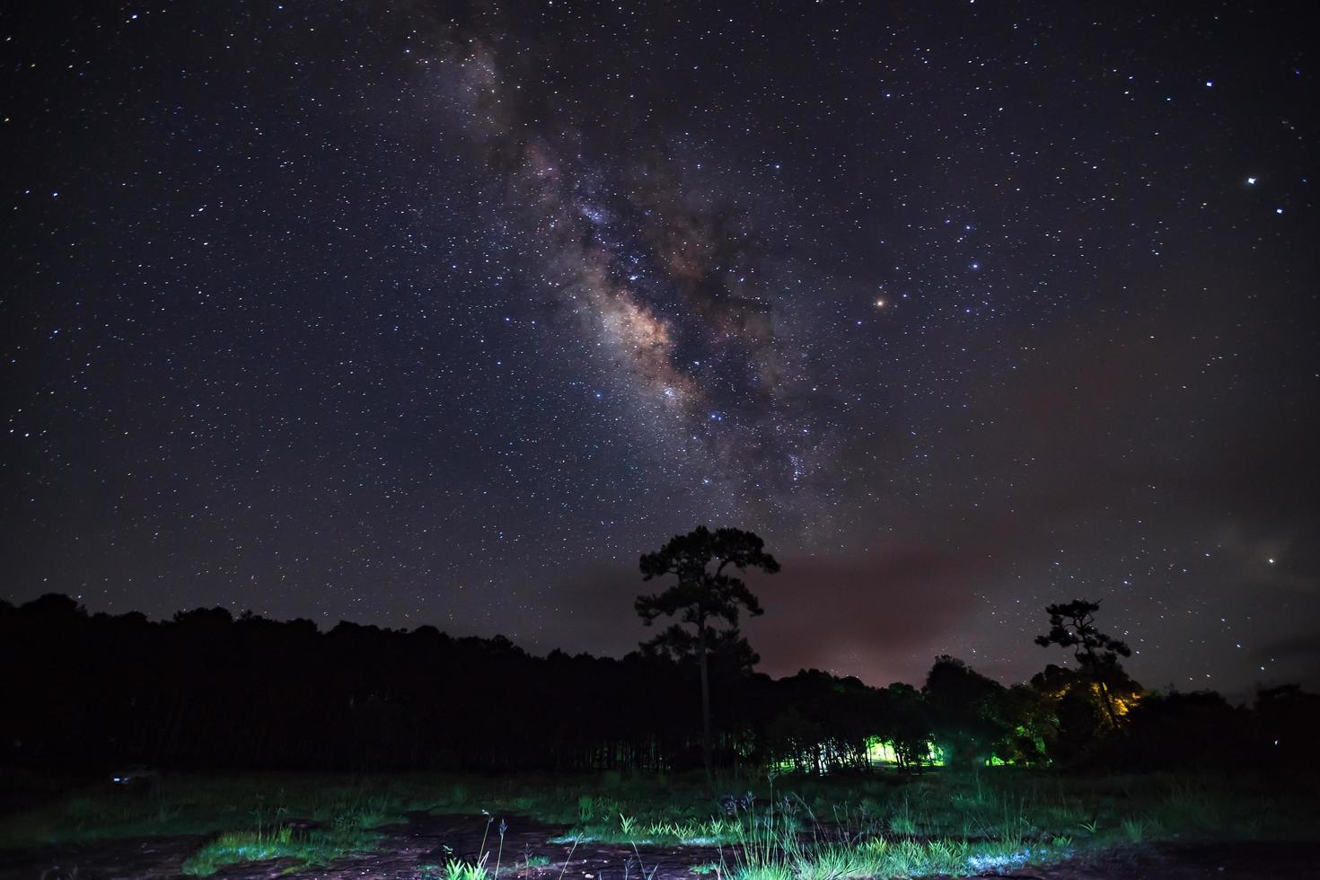 silhouette di albero e via lattea al parco nazionale di phu hin rong kla, phitsanulok thailandia. fotografia a lunga esposizione. foto