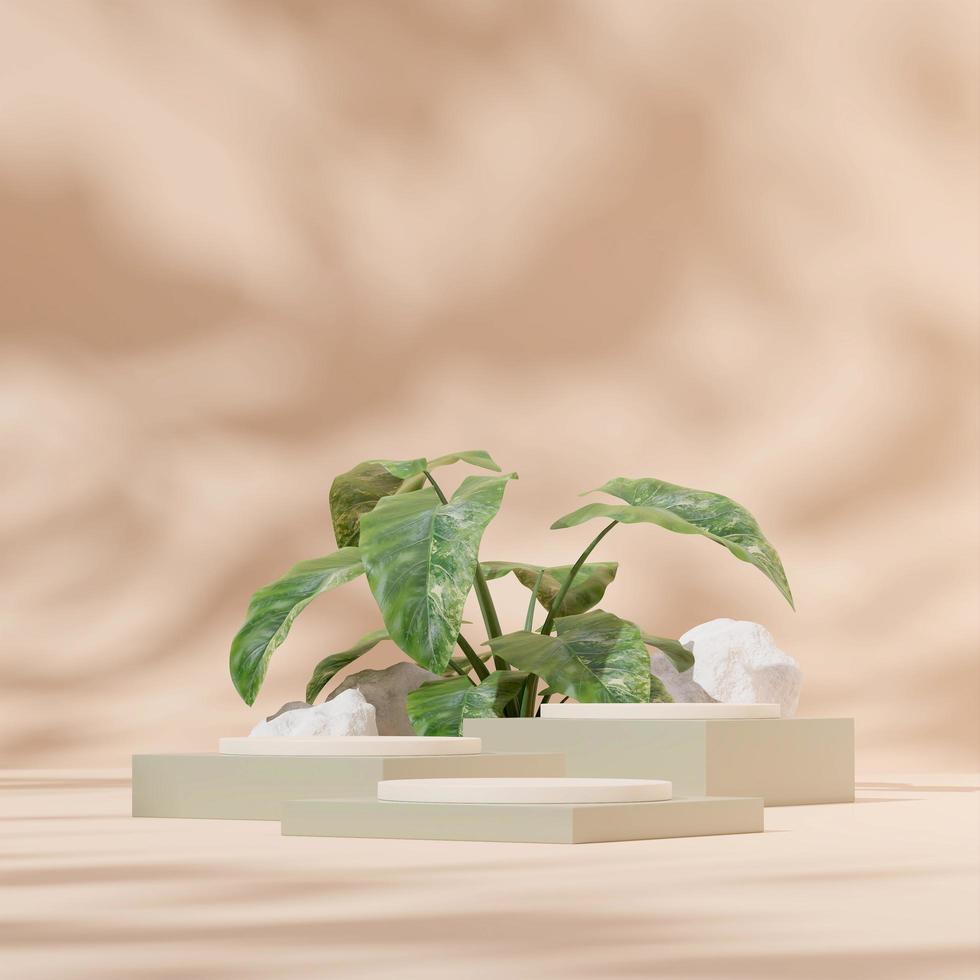 Modello di rendering 3d podio bianco e verde con pianta di alocasia e roccia in pianta quadrata foto