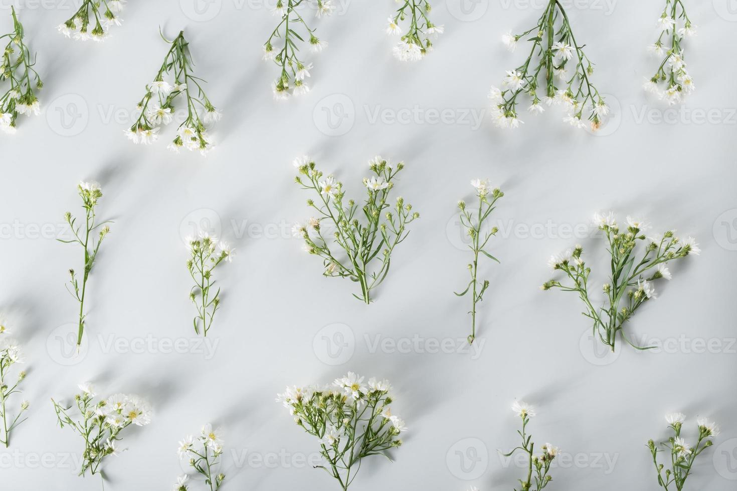 composizione di fiori di crisantemo e taglierina. modello e cornice fatta di vari fiori gialli o arancioni e foglie verdi su sfondo bianco. disposizione piana, vista dall'alto, copia spazio, primavera, concetto estivo. foto