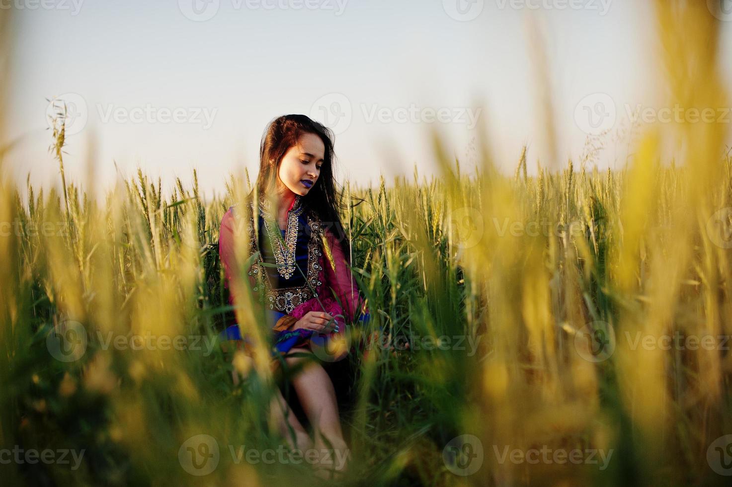 tenera ragazza indiana in saree, con labbra viola compongono poste in campo al tramonto. modello indiano alla moda. foto