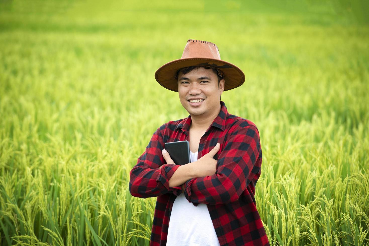 un contadino in un campo di grano maturo pianifica un'attività di raccolta, un agronomo maschio è felice in una risaia. foto