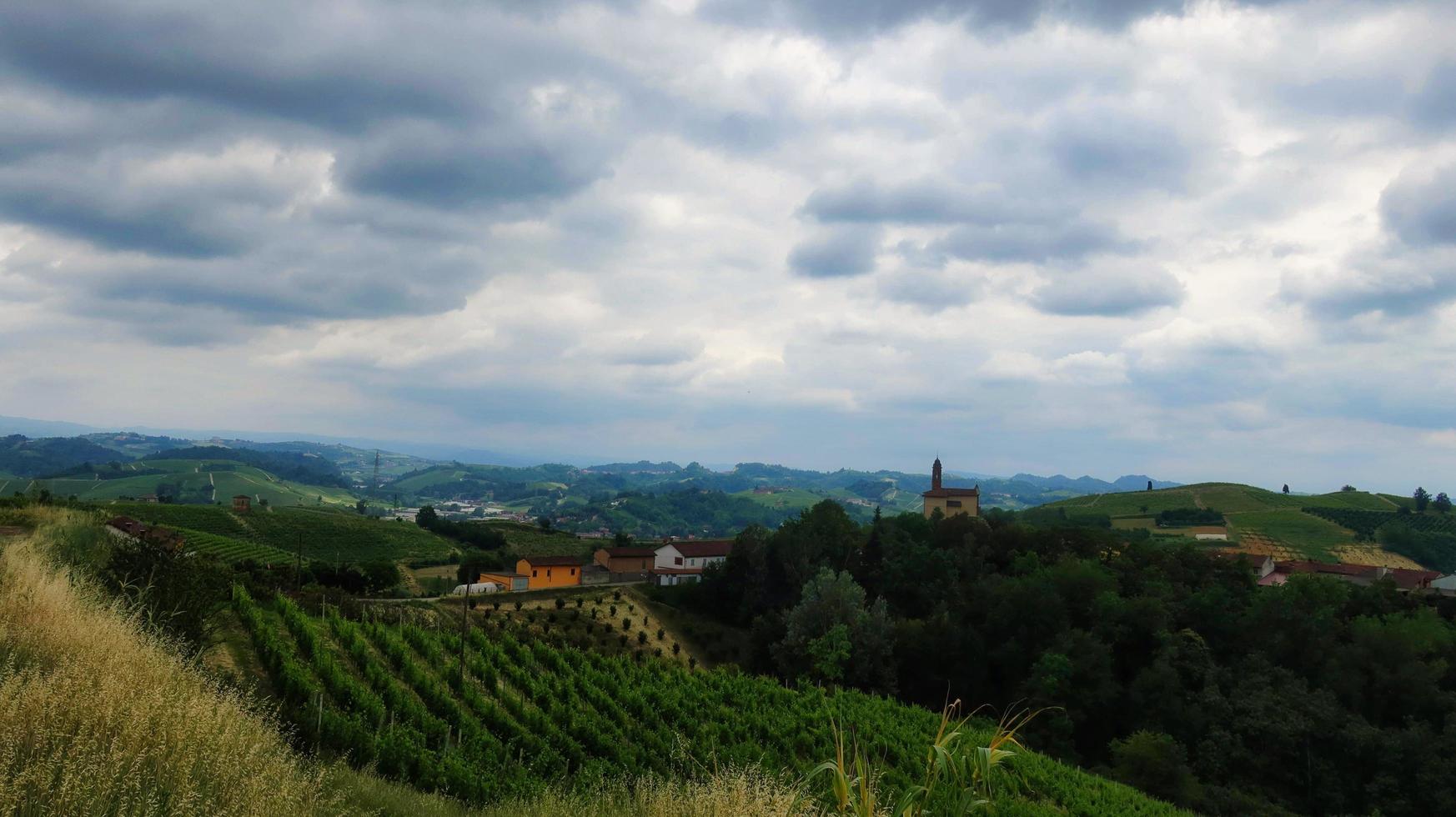 paesaggi di vigneti in monta d'alba, nelle langhe piemontesi durante una mangialonga nel giugno 2022 foto