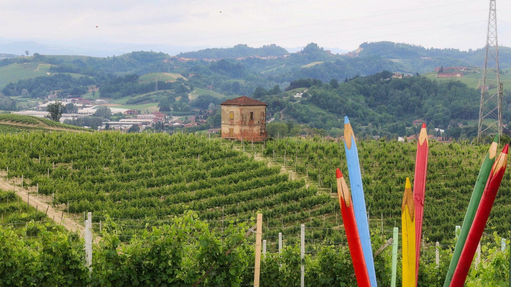 paesaggi di vigneti in monta d'alba nelle langhe piemontesi, durante una mangialonga nel giugno 2022 foto