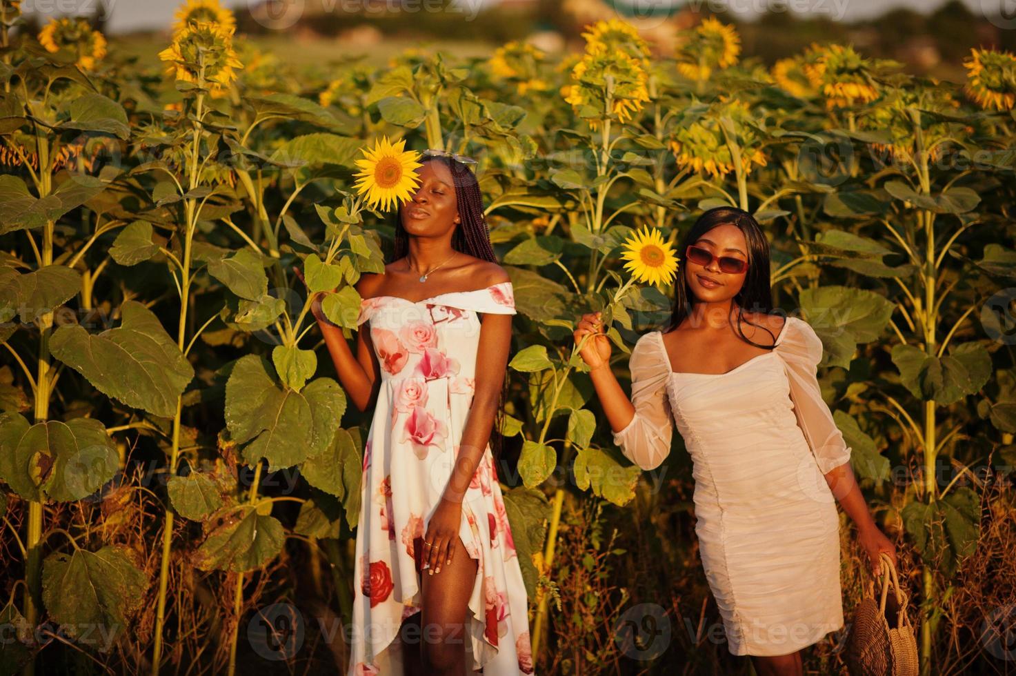 due piuttosto giovani amici neri donna indossano abiti estivi posano in un campo di girasoli. foto