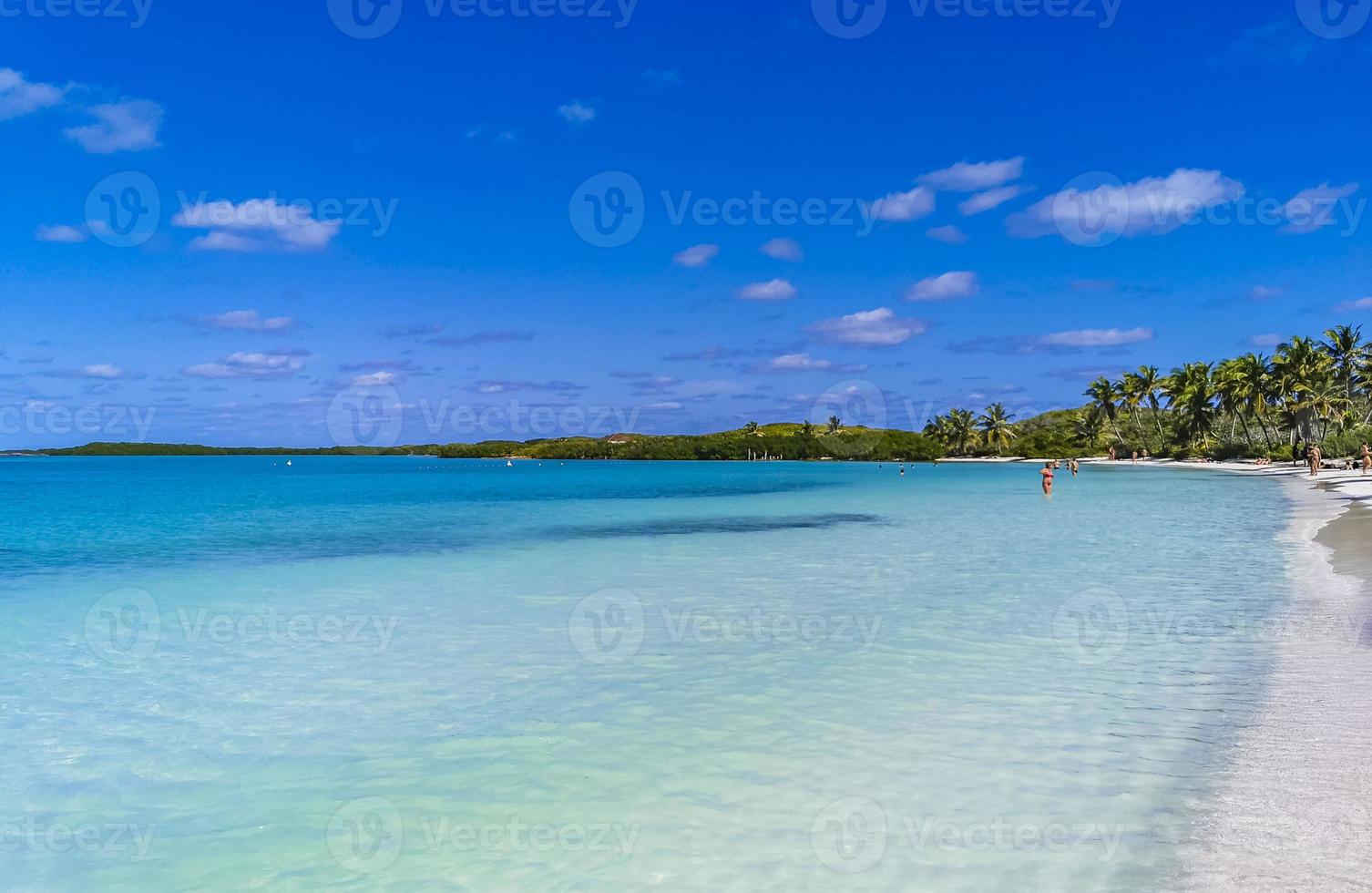 bellissima spiaggia tropicale naturale paradiso panorama contoy island messico. foto